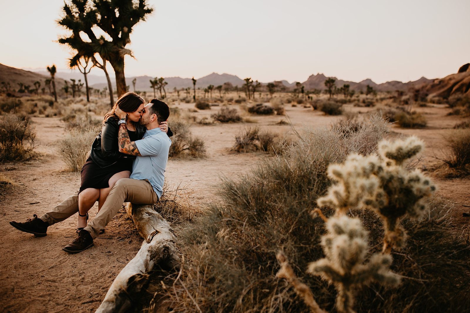 a couple kisses in Joshua Tree, California for their engagement session