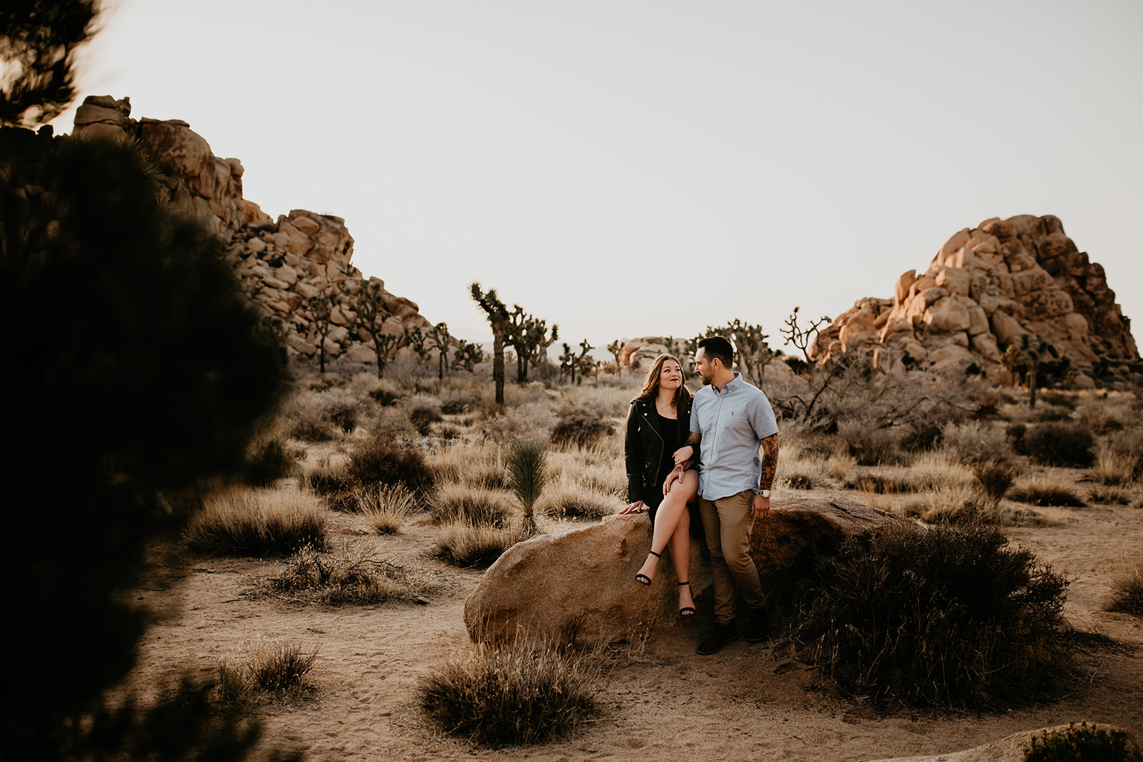Couples surrounded by rocks and Joshua Trees in one of Californias most popular national parks