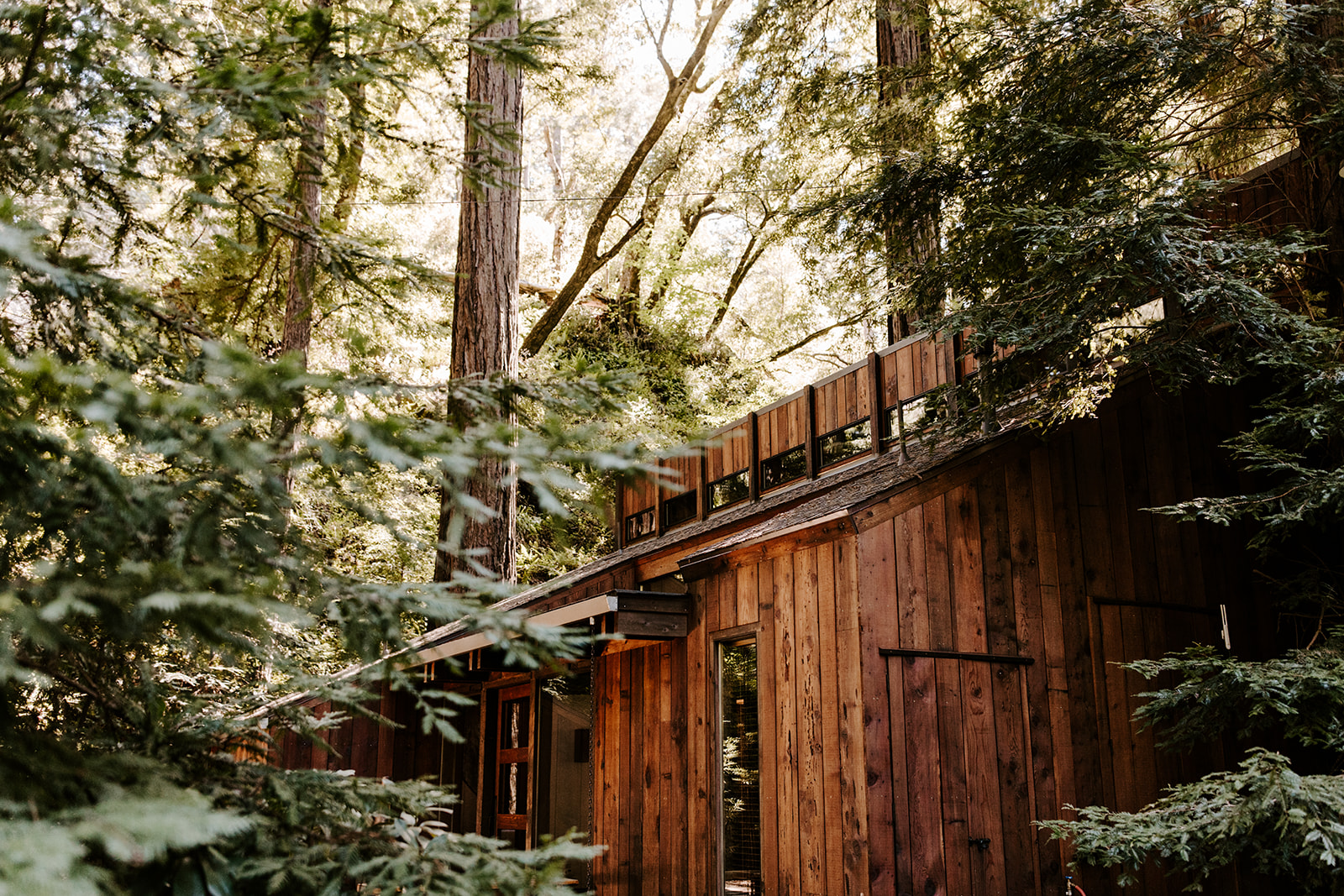 A couple who eloped in Big Sur, California stayed at Glen Oaks 