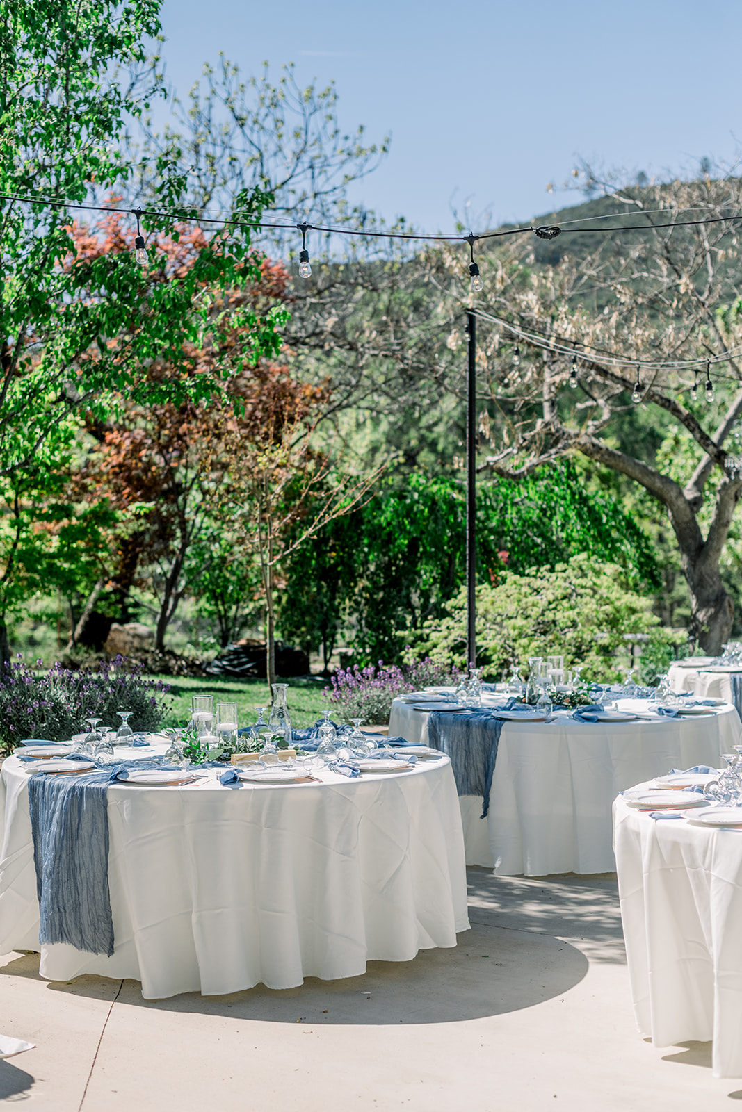 Sonora CA wedding reception tables blue spring