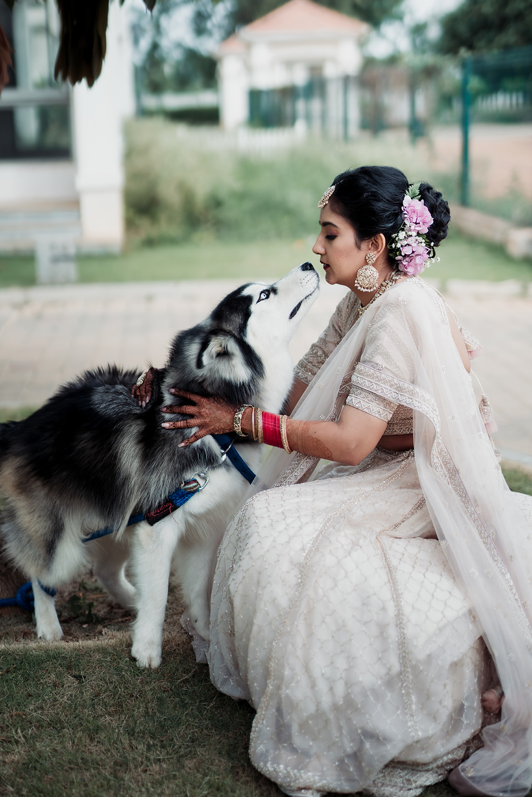 Bridal bliss: The bride in a stunning lehenga shares a joyous moment with her adorable pet