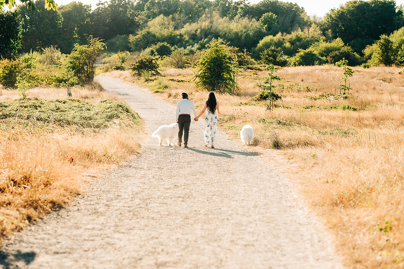 An interracial couple is photographed with their Samoyeds for their engagement session at Discovery Park in Seattle, WA