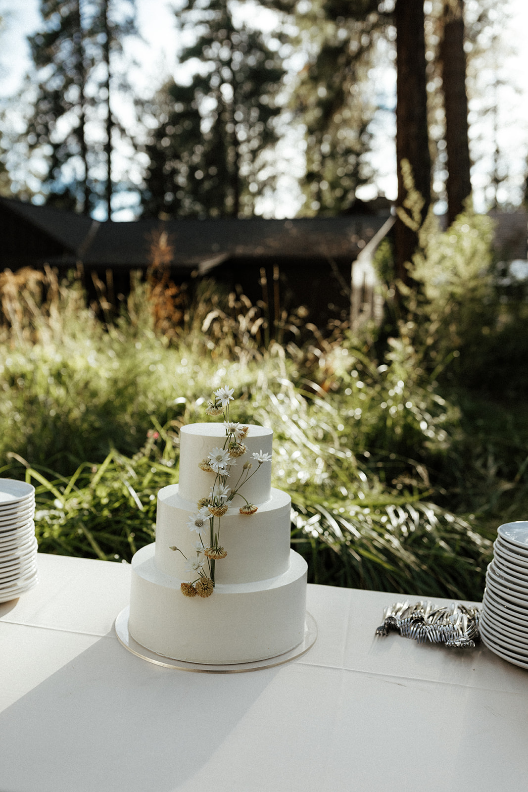 central oregon wedding cake at lake creek lodge