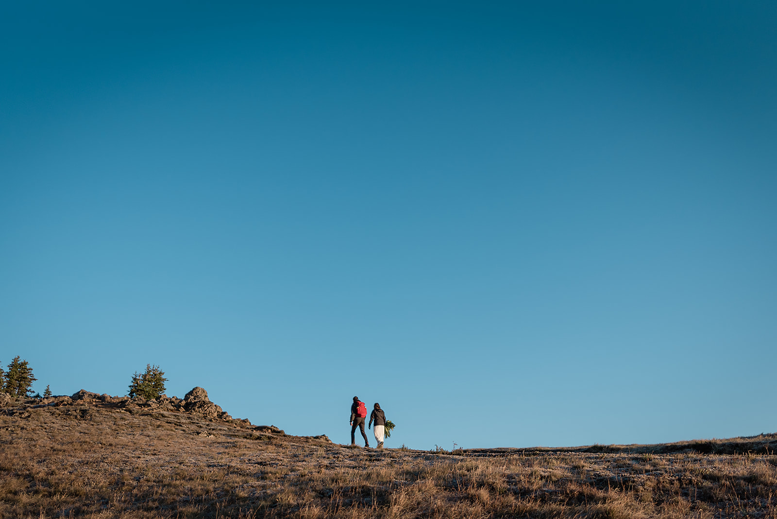 This is a picture of a couple hiking a mountain.