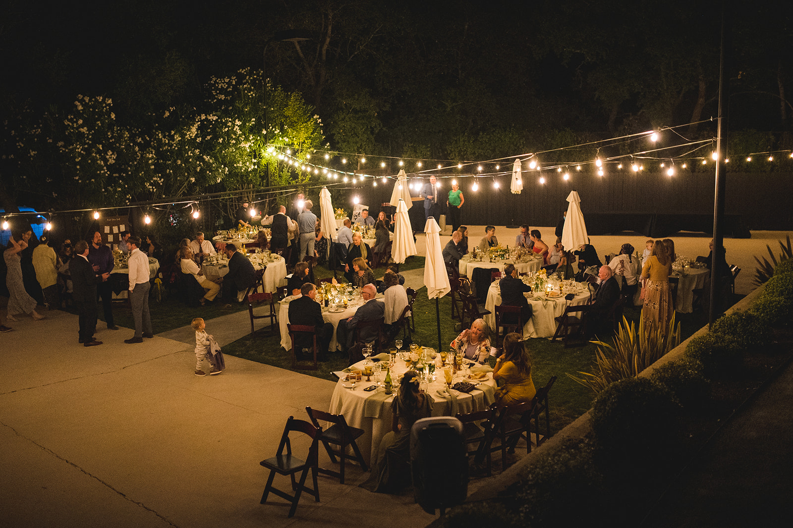 Guests enjoying the lively reception at a private house in Napa Valley
