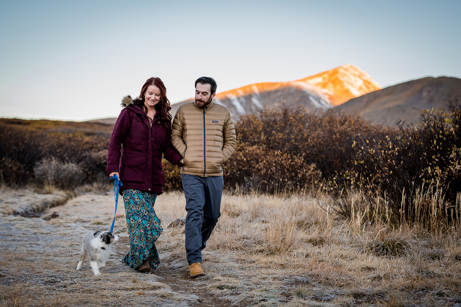 a couple walks a trail in Colorado with their new puppy at their adventure engagement session