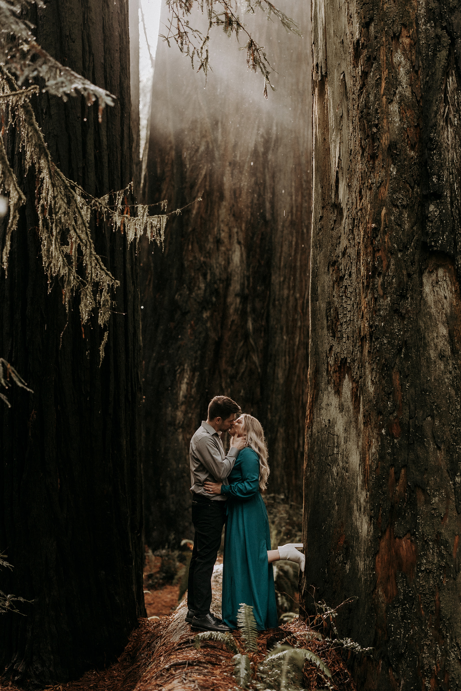 An eloping couple kissing in Jedediah Smith Redwoods State Park with light rays in the background.