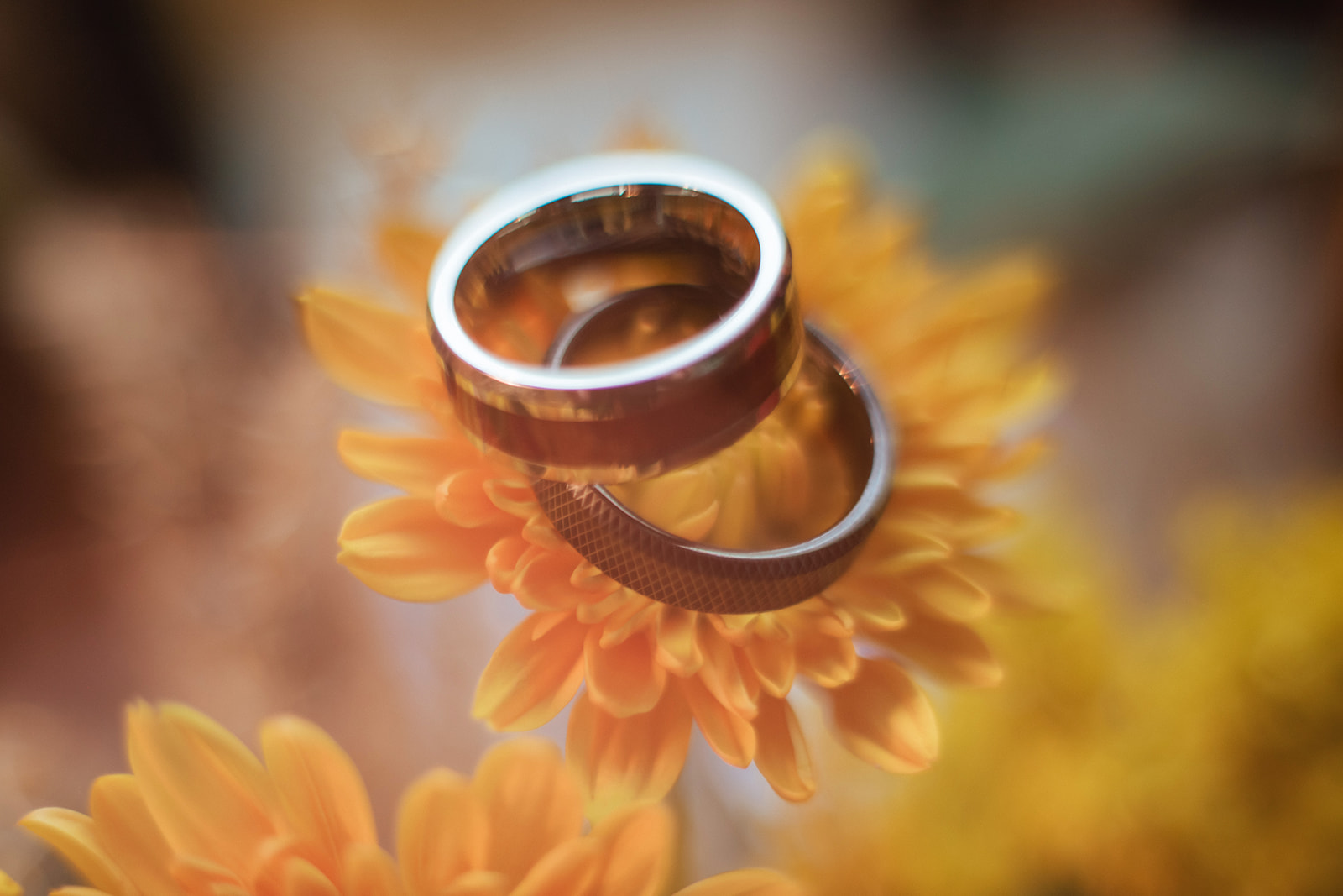 wedding rings on flower