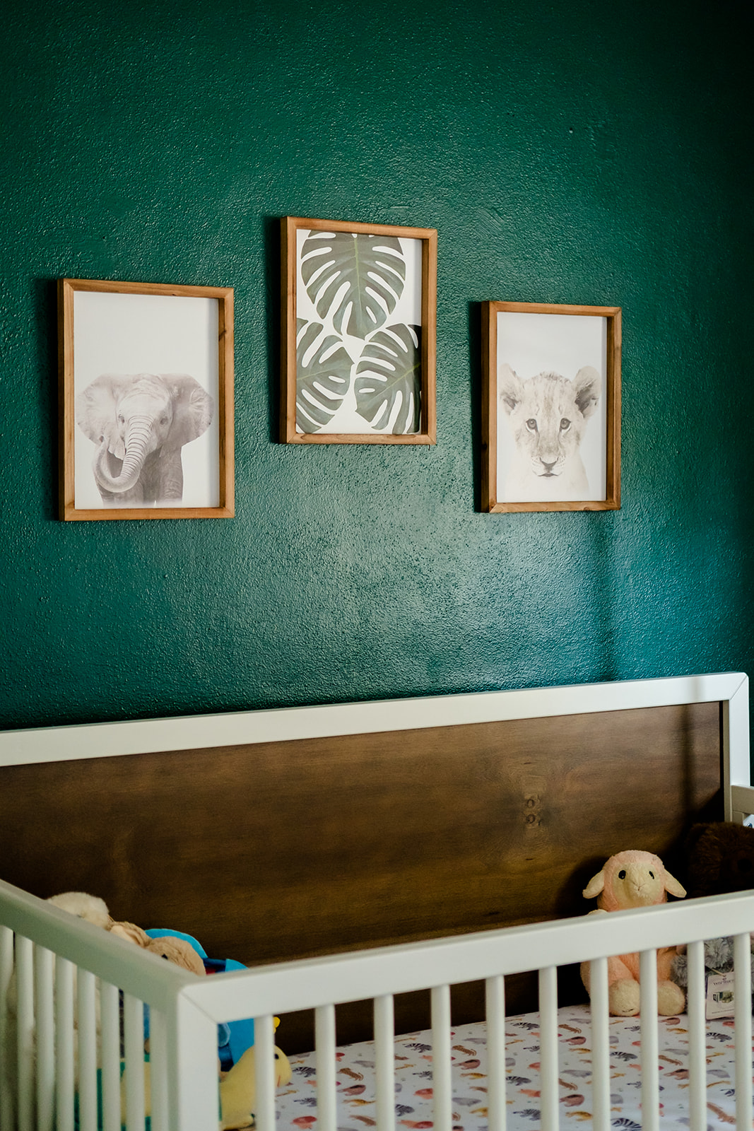 A baby boy's nursery at home in Tampa Florida