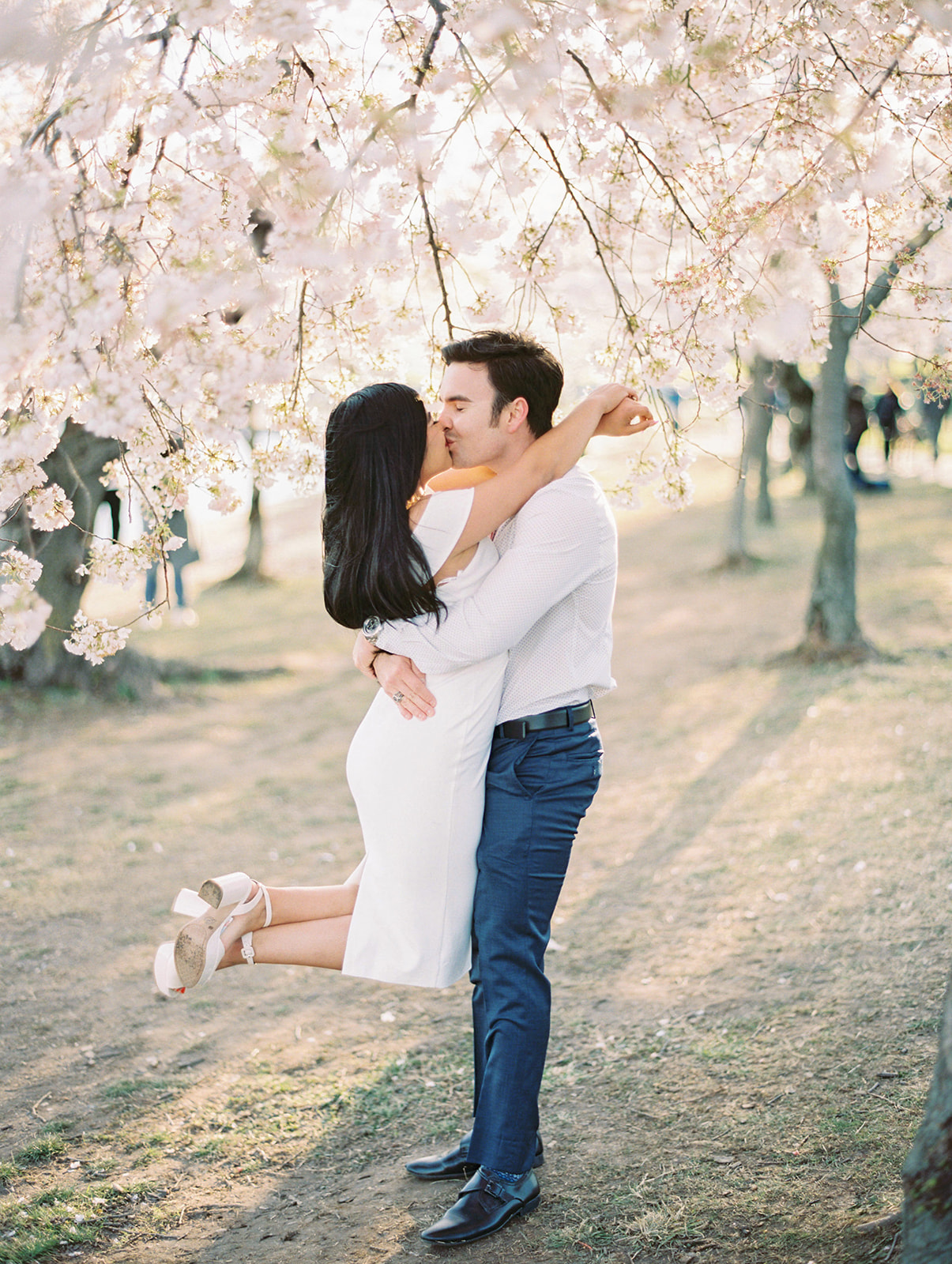 An engaged couple holding each other and kissing, surrounded by cherry blossom trees.