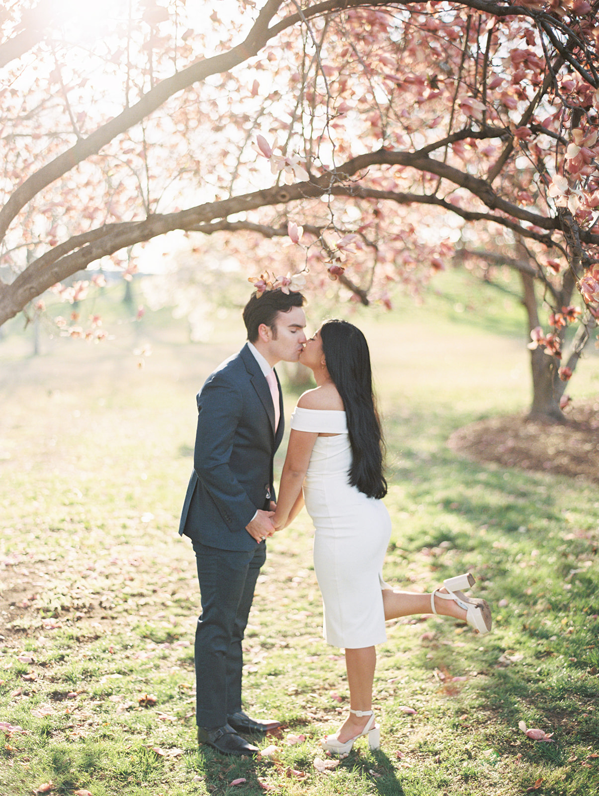 An engaged couple sharing a kiss under a magnolia tree during their DC engagement session