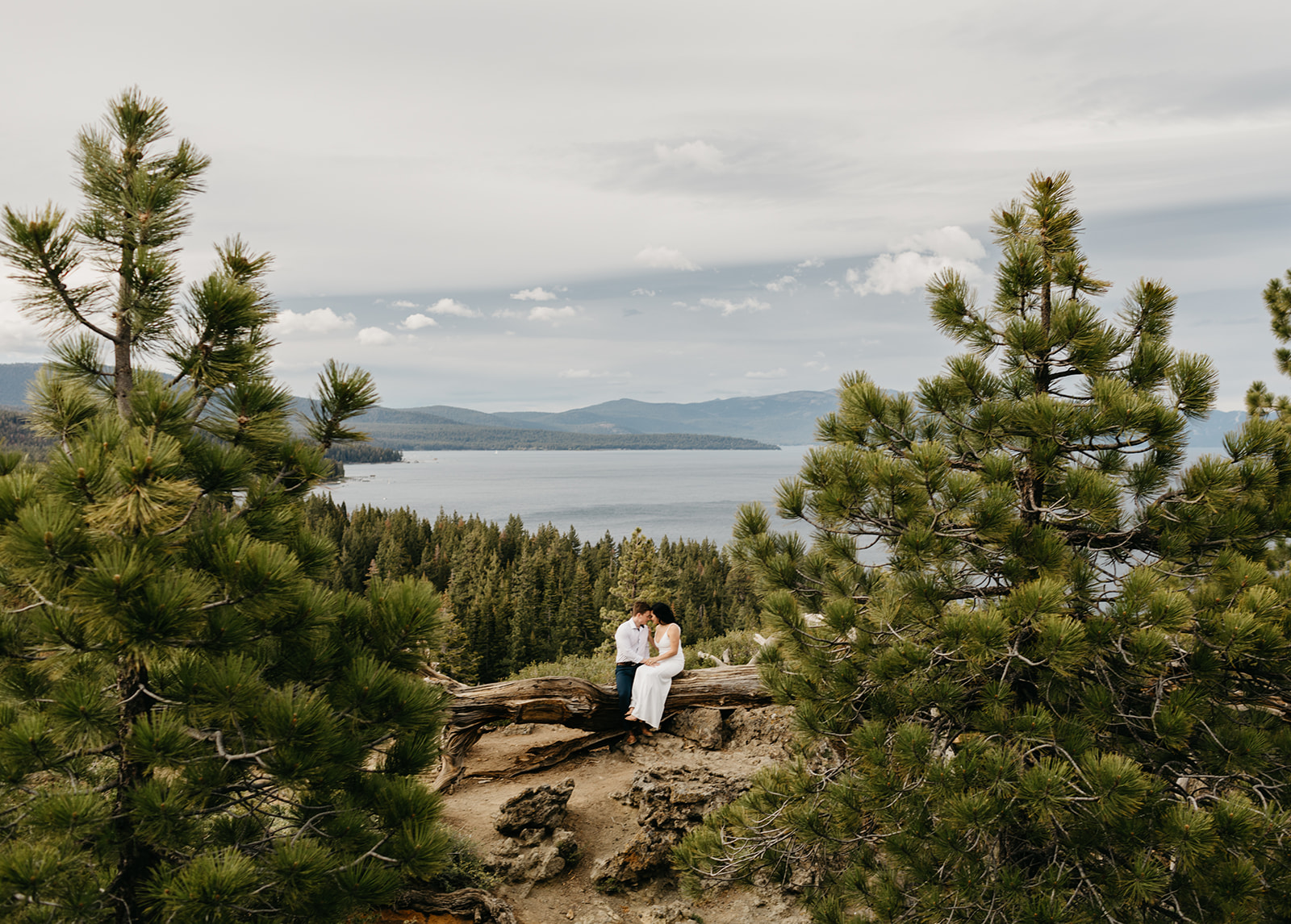 A couple sitting on a fallen tree in North Lake Tahoe