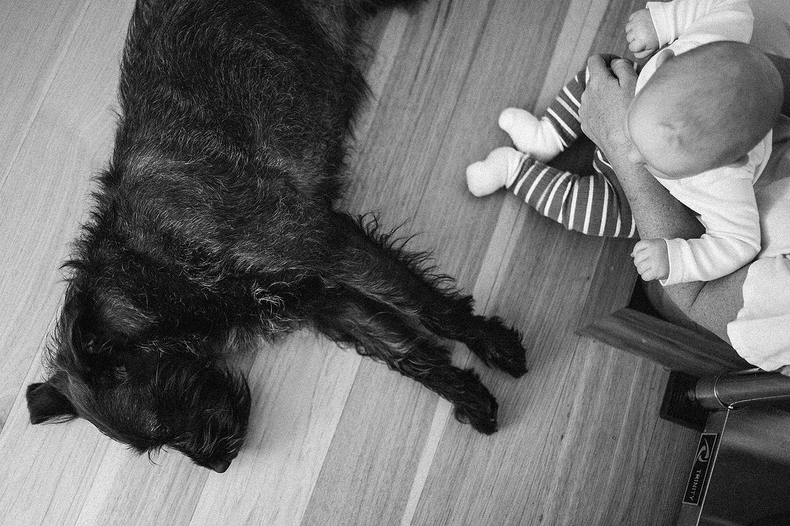 Black and white photo of baby and dog