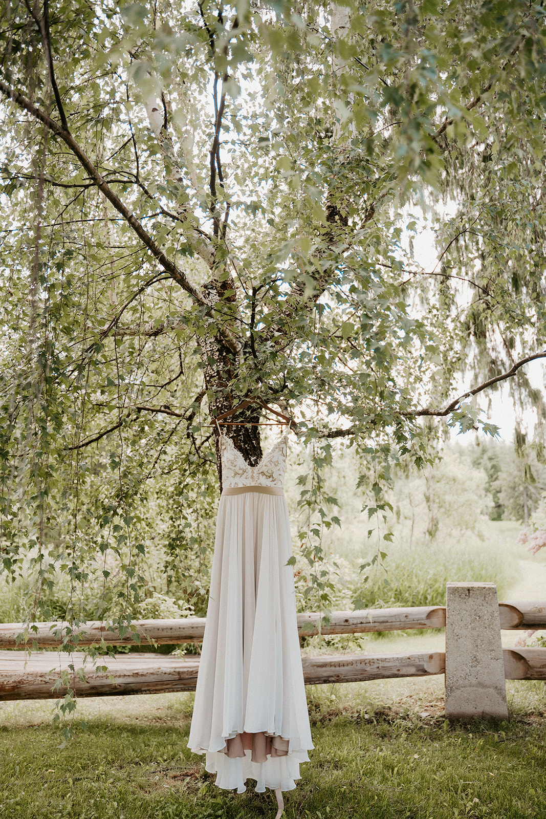 Wedding Dress Hanging From The Tree