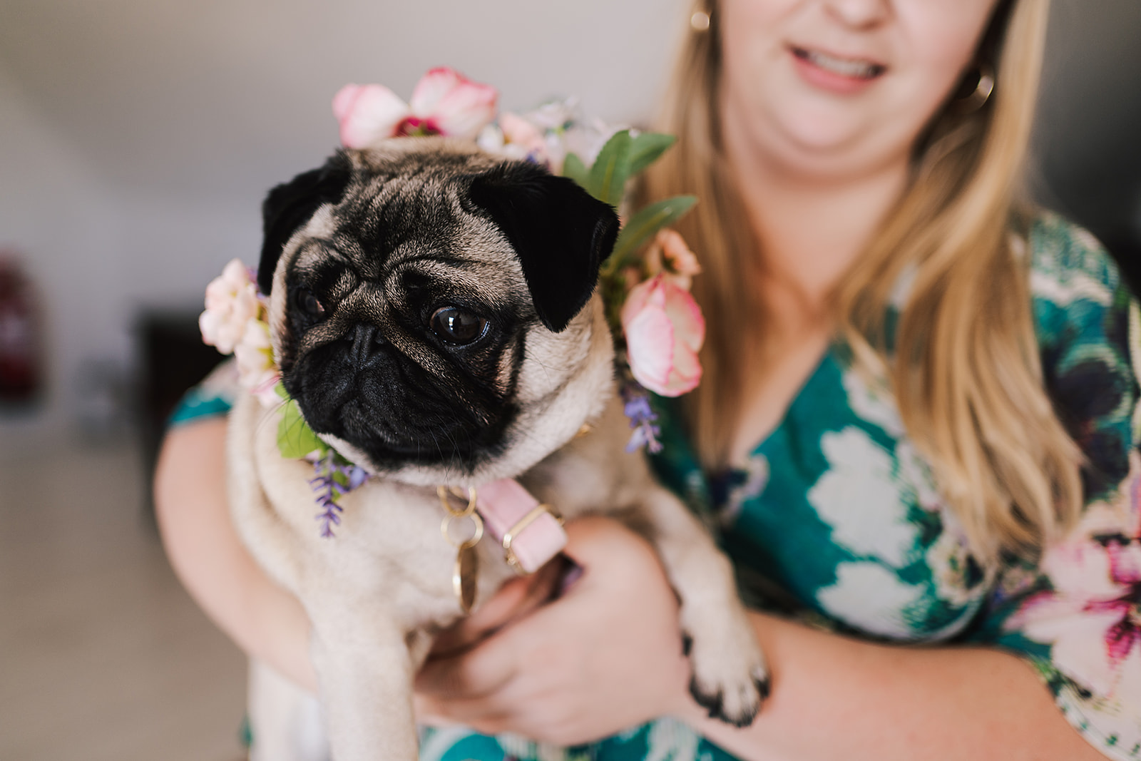 couples dog ready for wedding ceremony