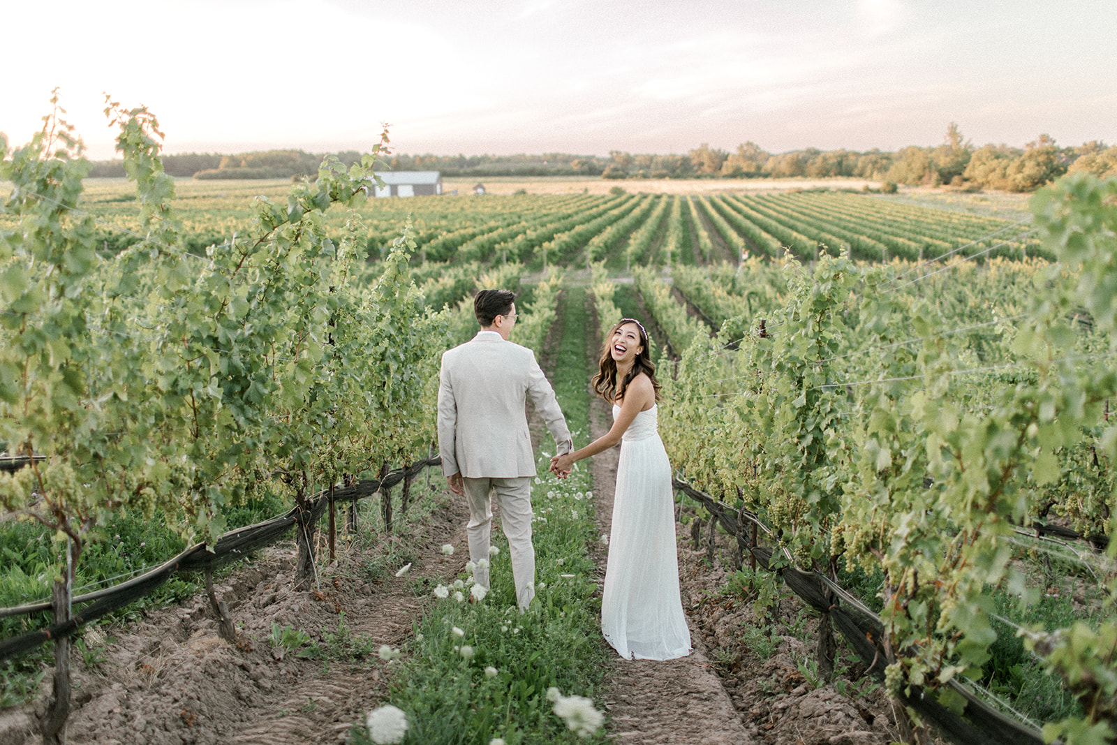 Couple laughs and walks through the grape vines during their wedding at Ravine Vineyard Estate Winery