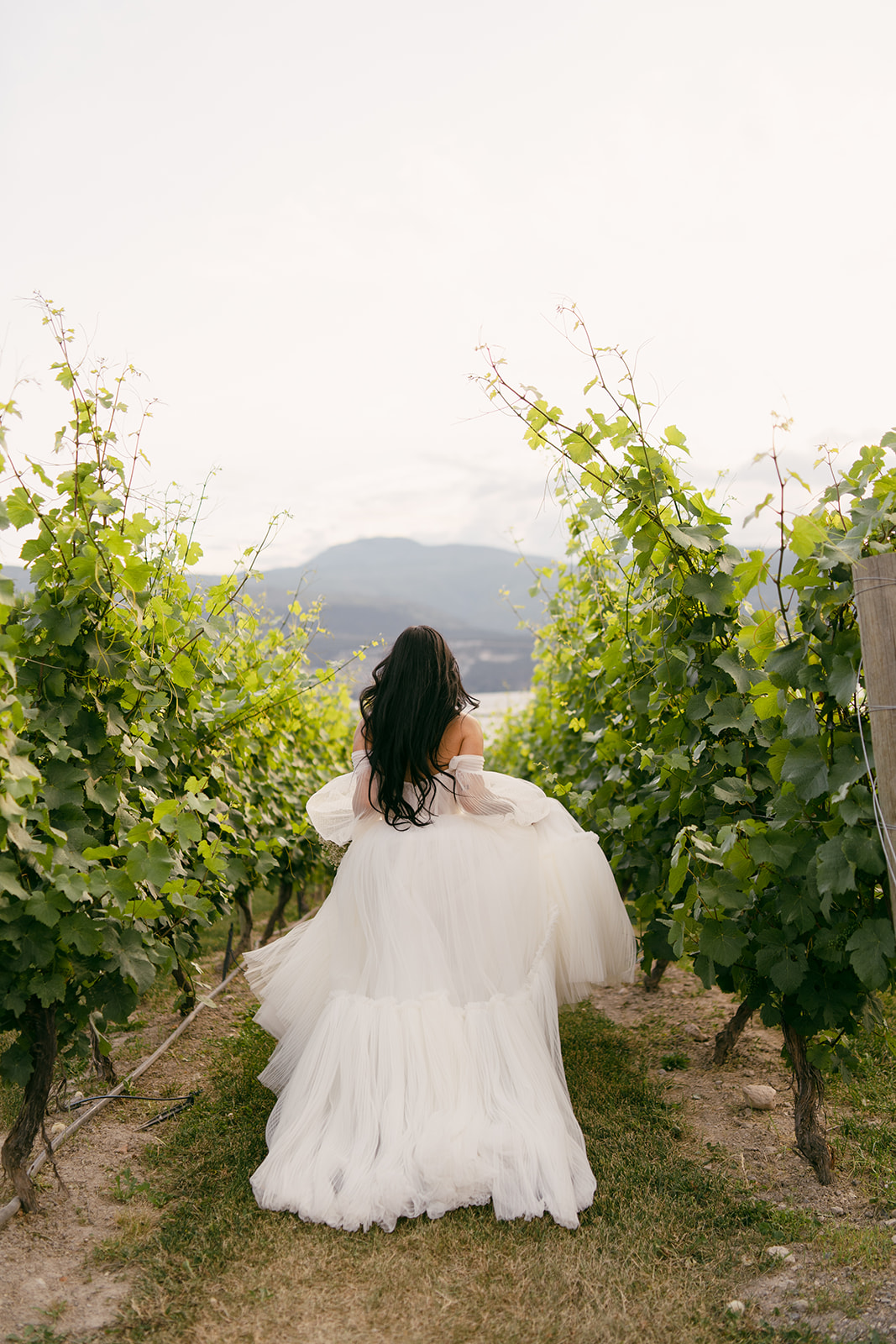 Bride running through vineyard