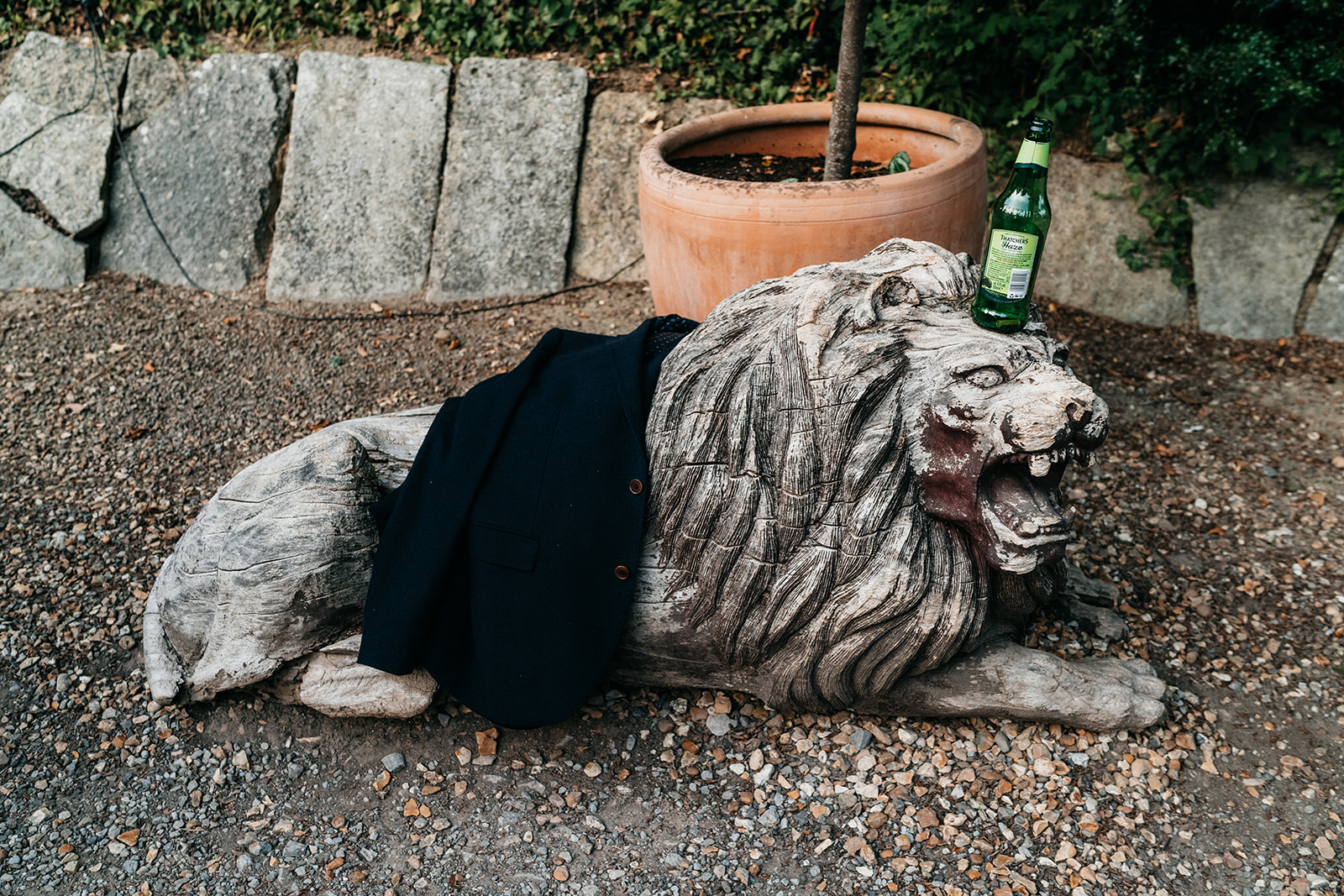 a candid funny photo of a lion statue with a beer on his head
