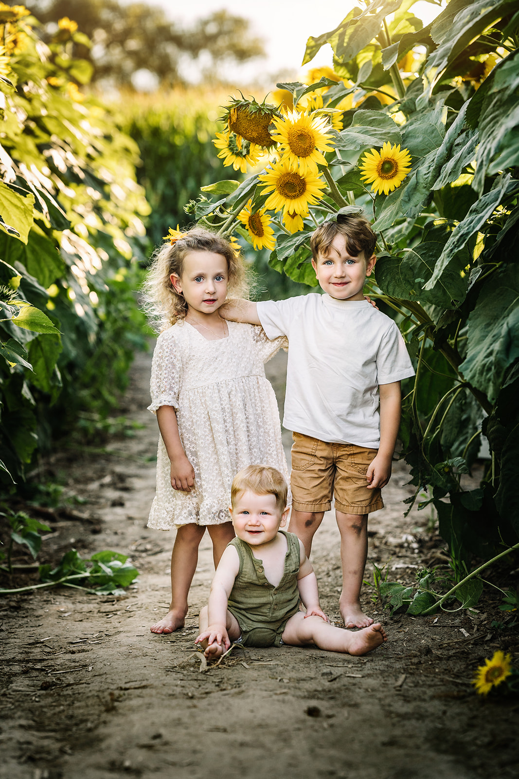 Family sunflower photos