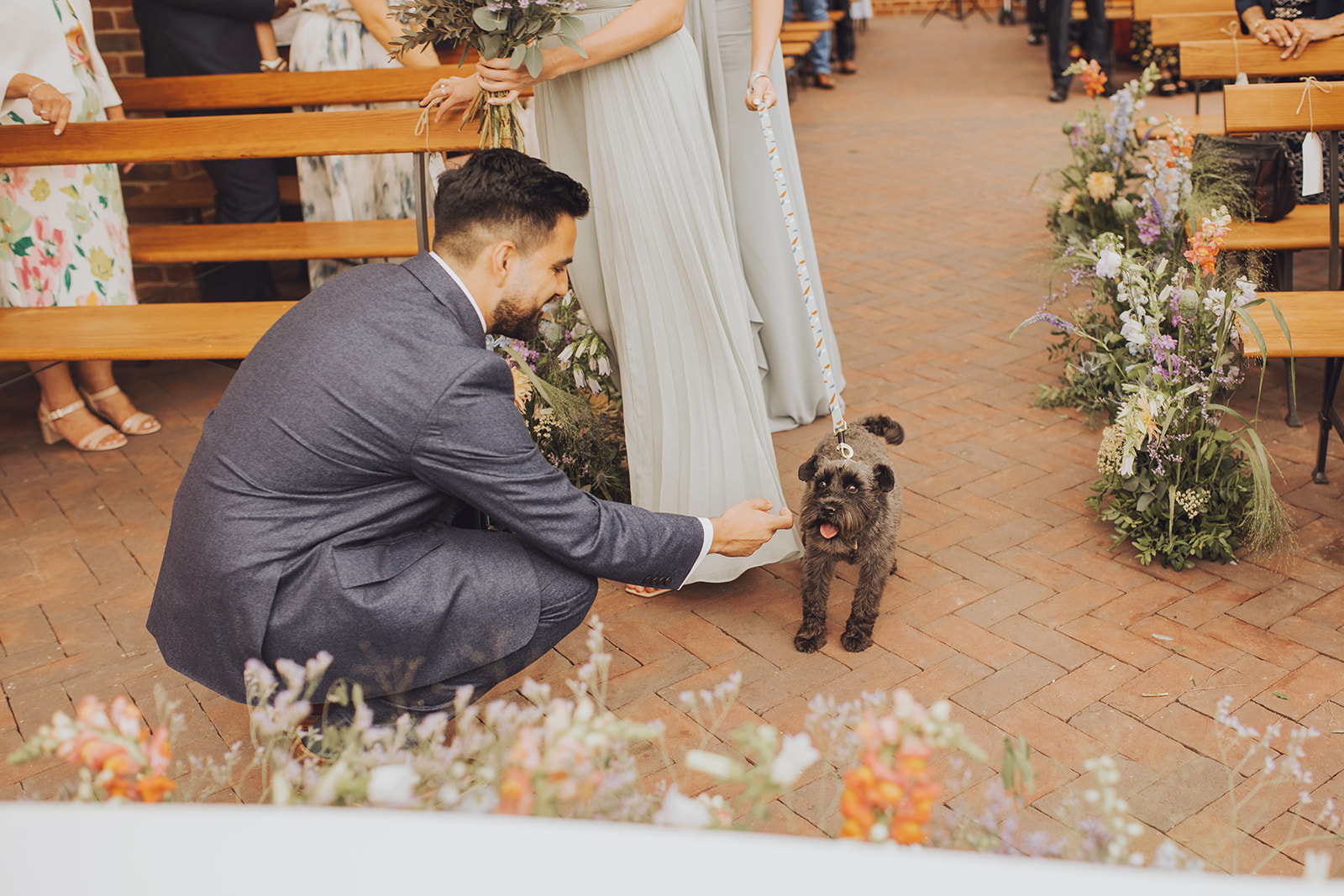 Dog ring bearer walking down the aisle in the glasshouse at syrencot