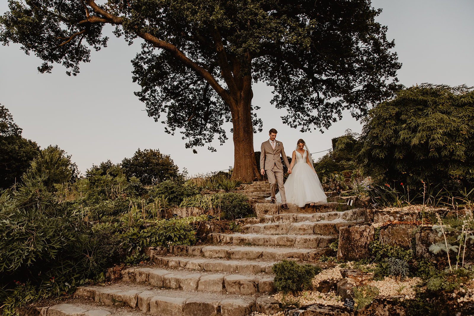 Bride and groom during golden hour at a RHS Gardens Wisley Wedding. By Olive Joy Photography