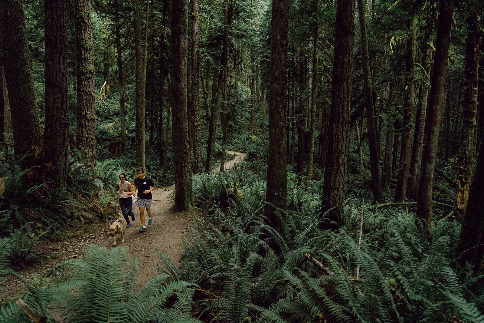 Couple runs in the rainforest to skookumchuk narrows on the morning of their west coast wilderness lodge wedding