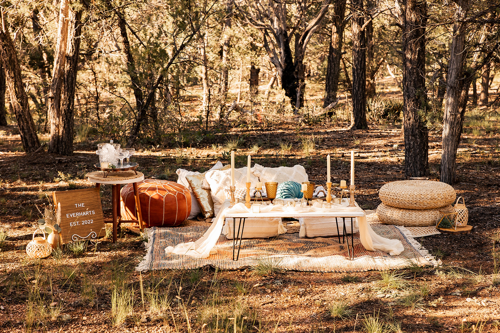 elopement picnic set up by Desert Sage Picnics