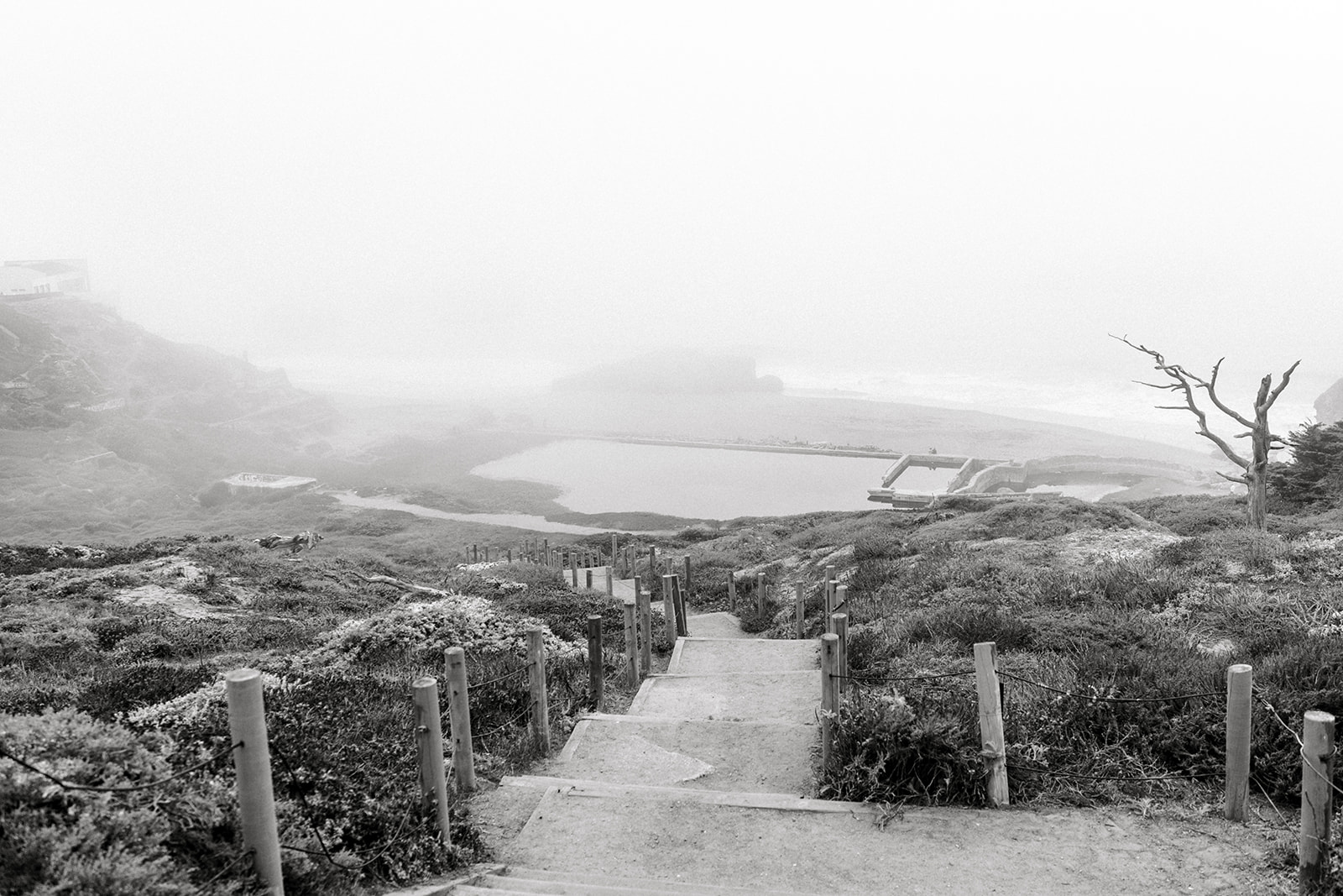 Black and white fog at Lands End San Francisco, CA.