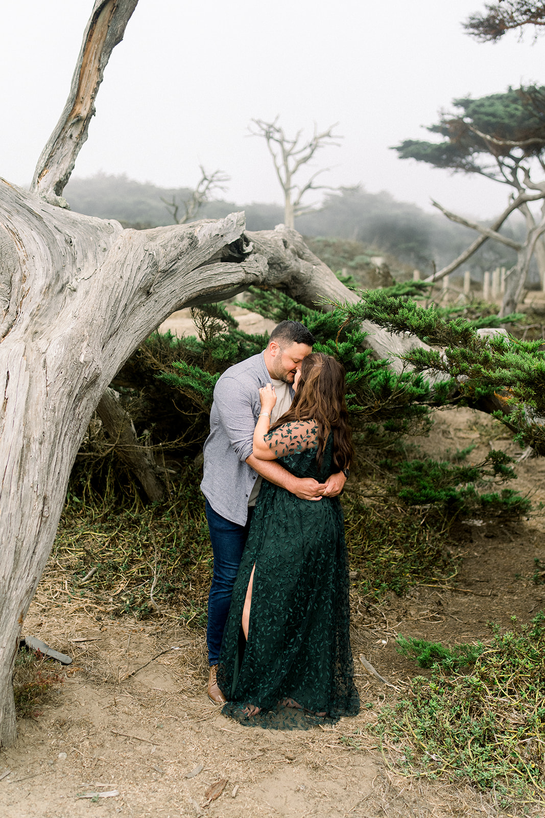 Bride and groom embrace next to a cypress tree during their engagement portraits at Lands Ends San Francisco
