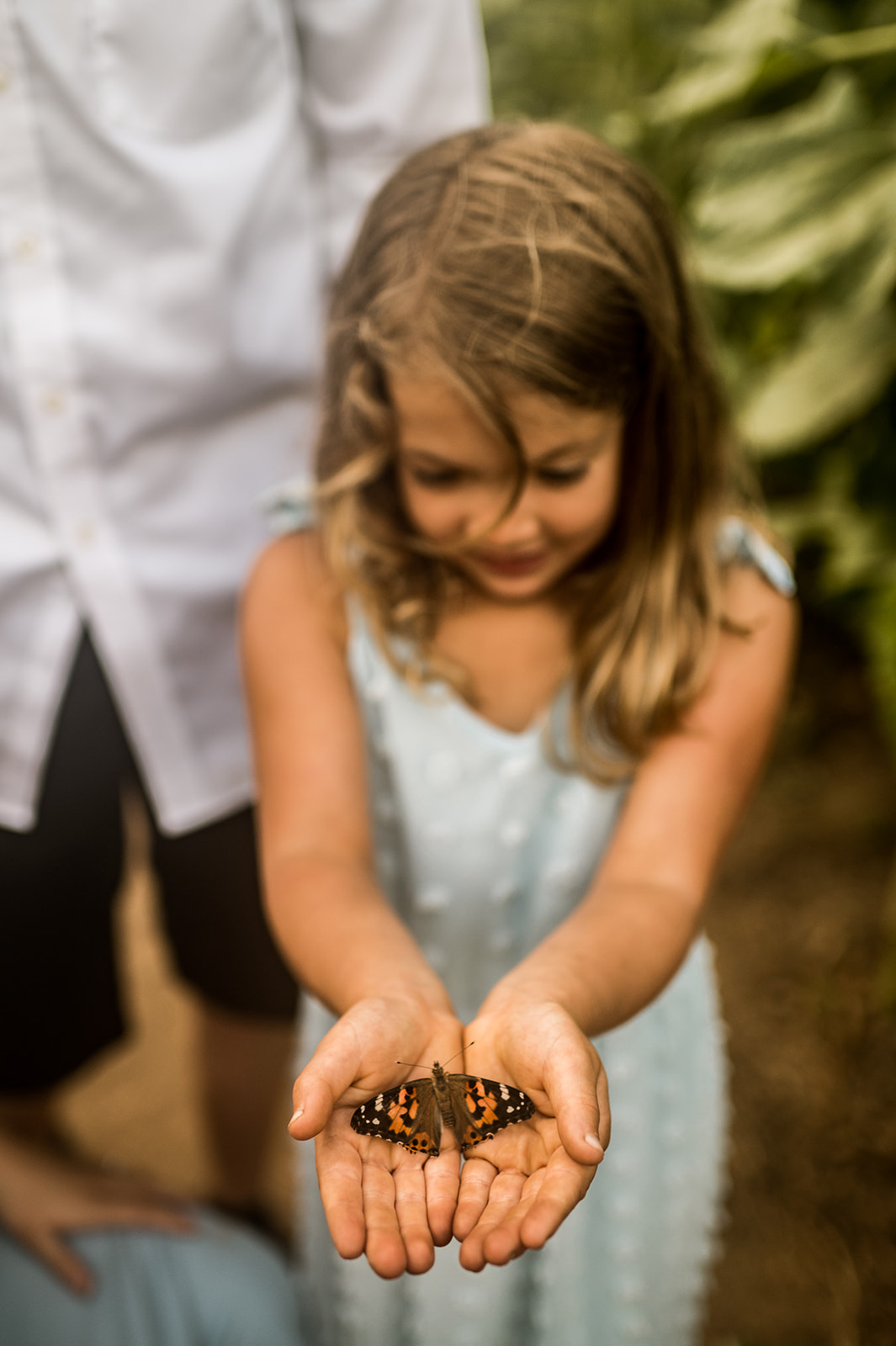 family found a butterfly among sunflowers for their golden hour session at Lee Farms