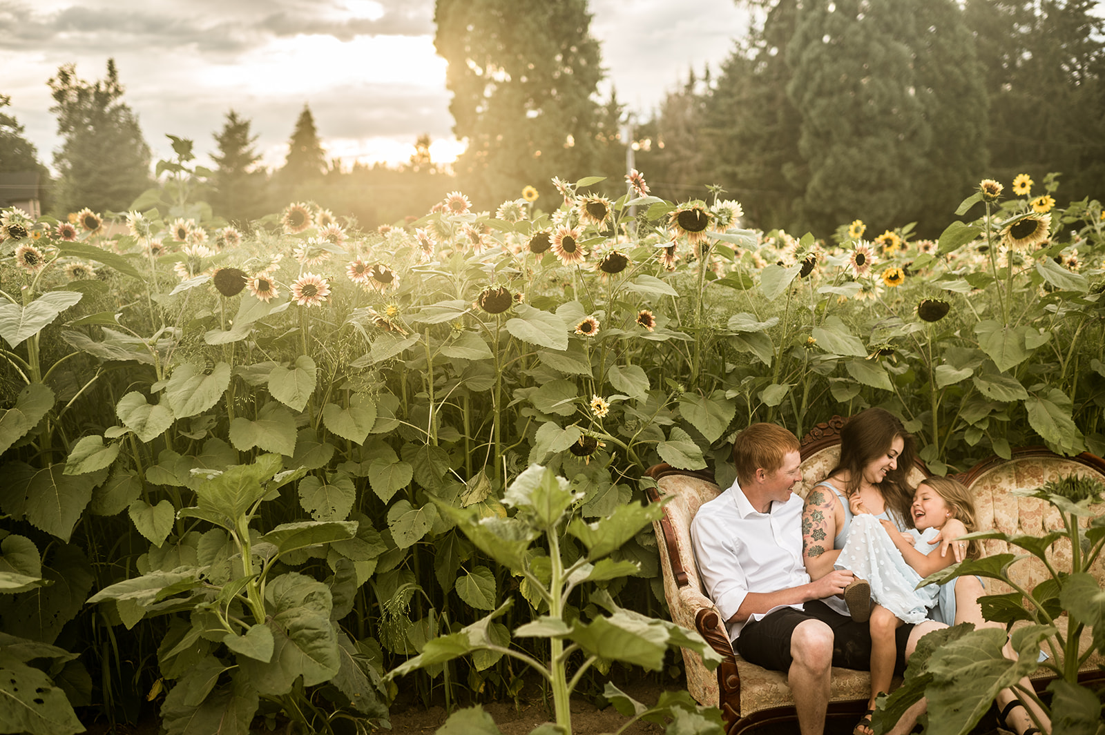 family sitting, laughing among sunflowers for their golden hour session at Lee Farms