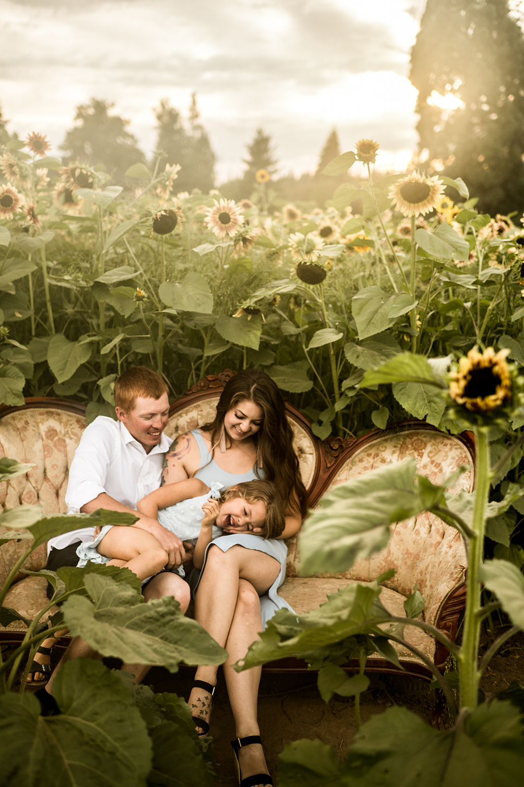 family sitting, laughing among sunflowers for their golden hour session at Lee Farms