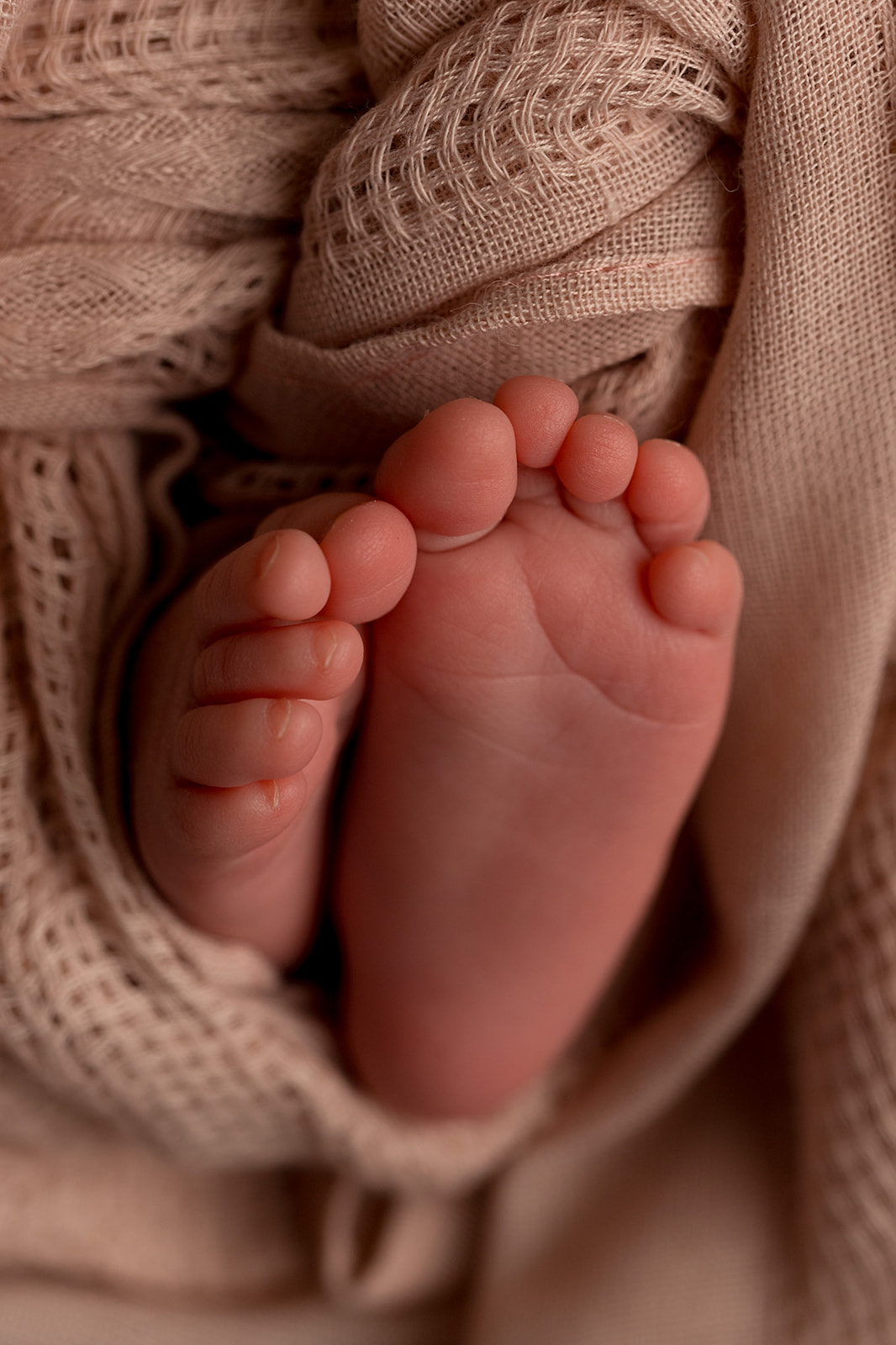 macro detail of newborn feet in a nude pink swaddle