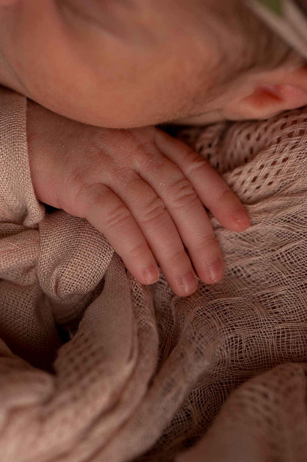 newborn baby hand close up macro detail