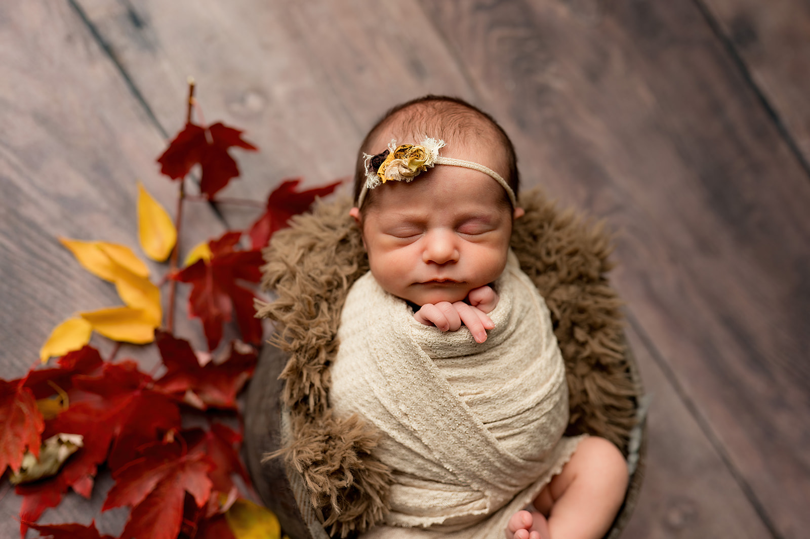 Newborn girl swaddled in cream and surrounded by vibrant yellow and red fall leaves