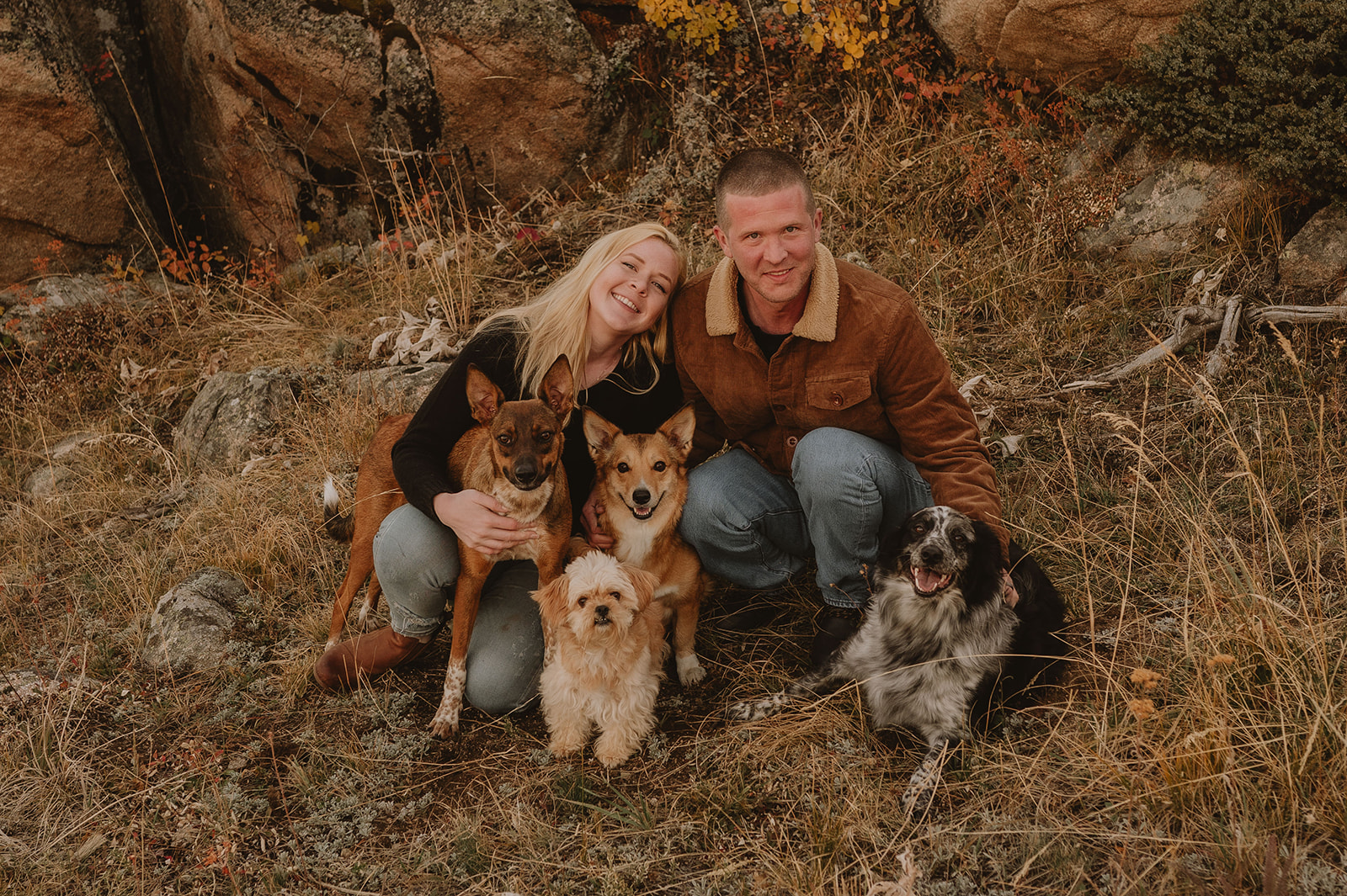 Couple brings their four dogs to their Wyoming engagement session and gets them all to sit and look at the camera