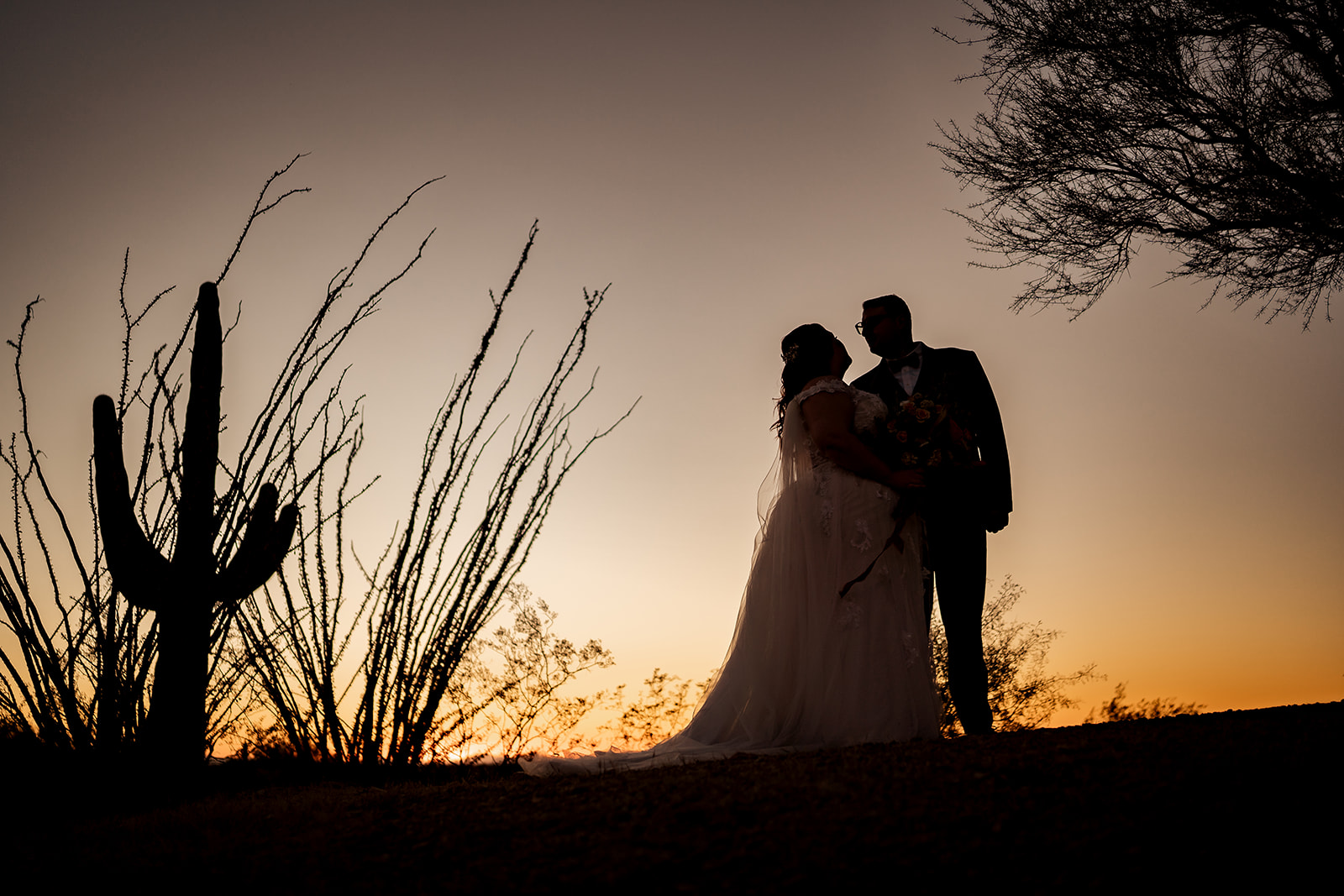 bride and groom with saguaro cactus at sunset portraits