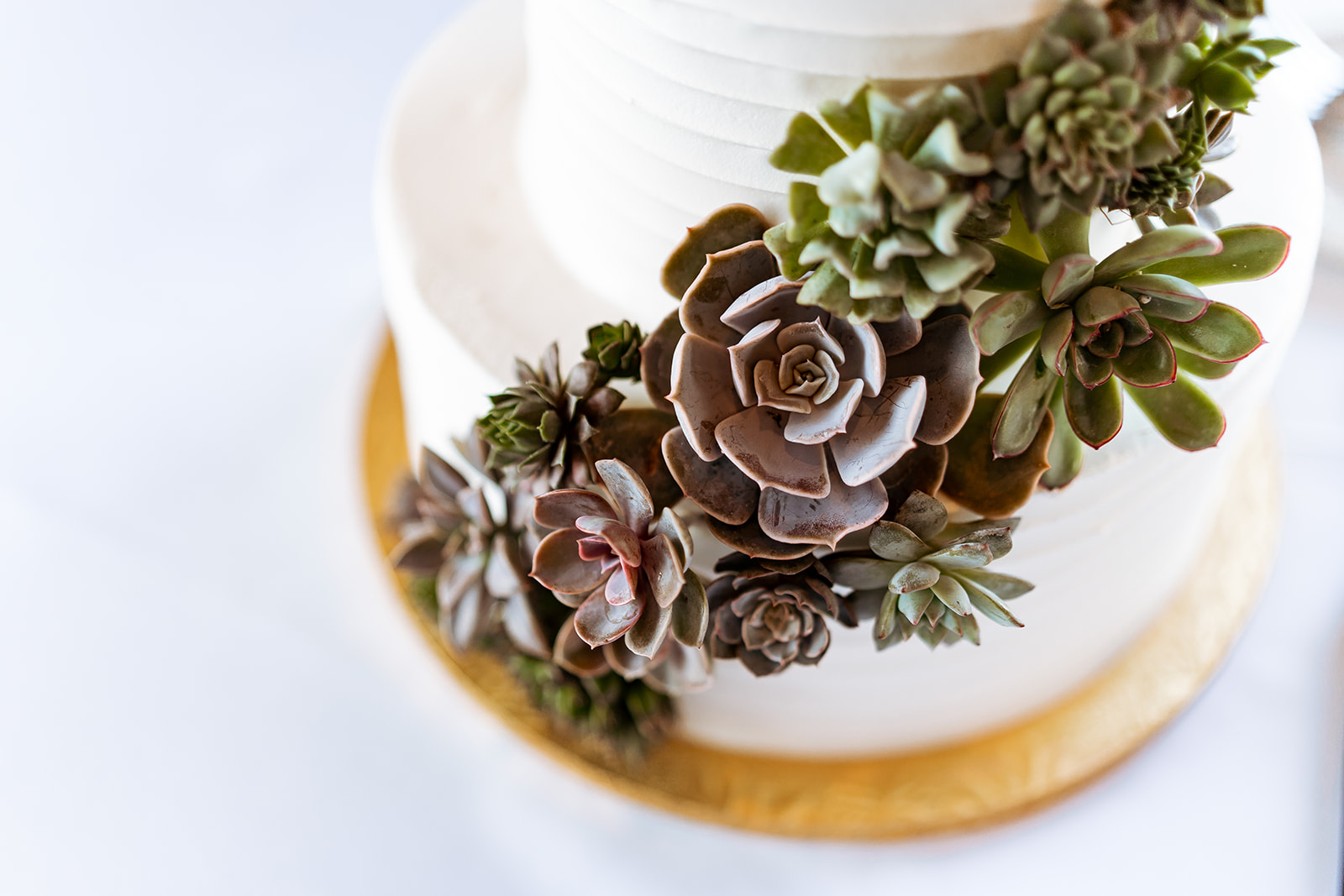 village bakehouse succulent wedding cake