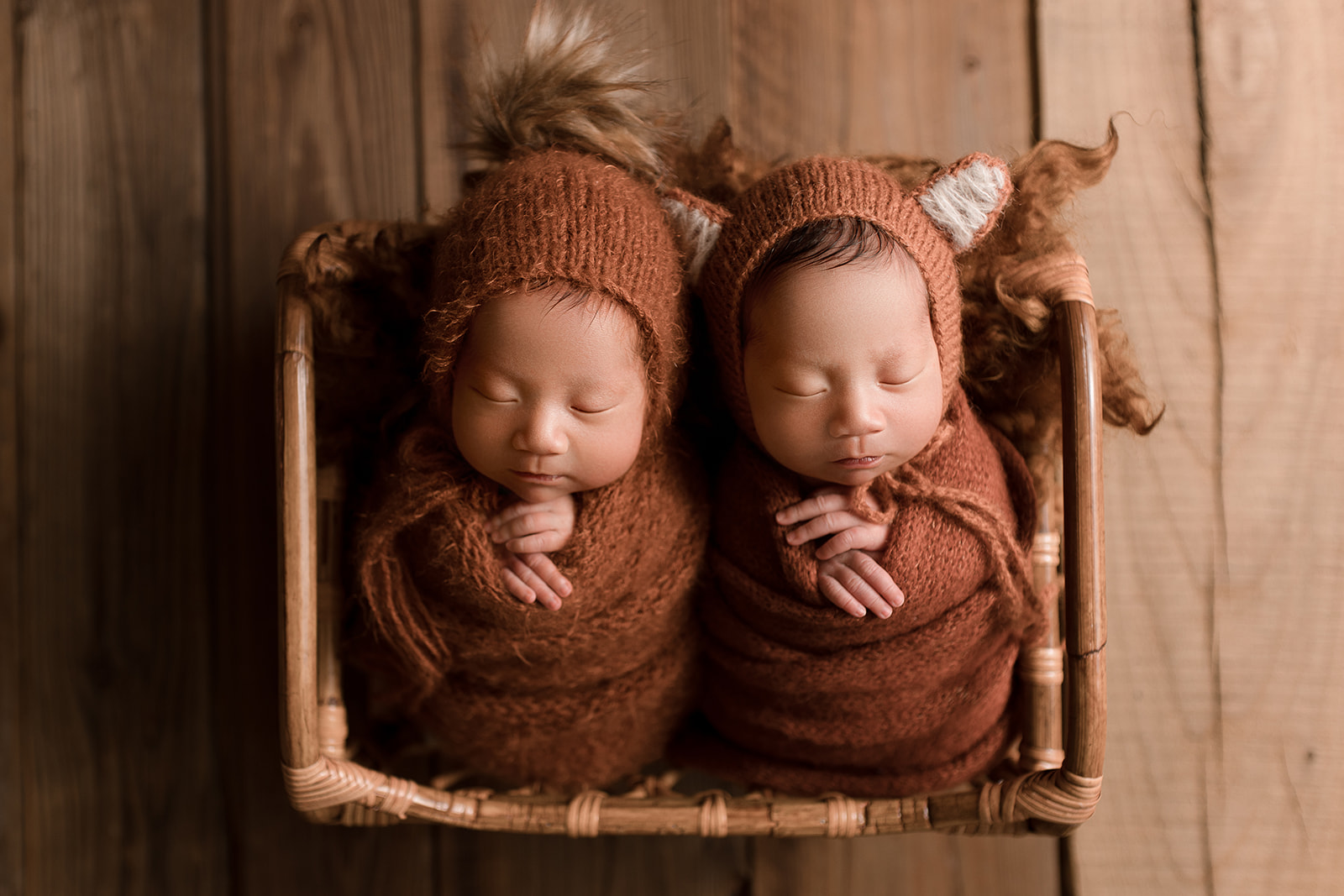 identical newborn twin brothers swaddled in a basket