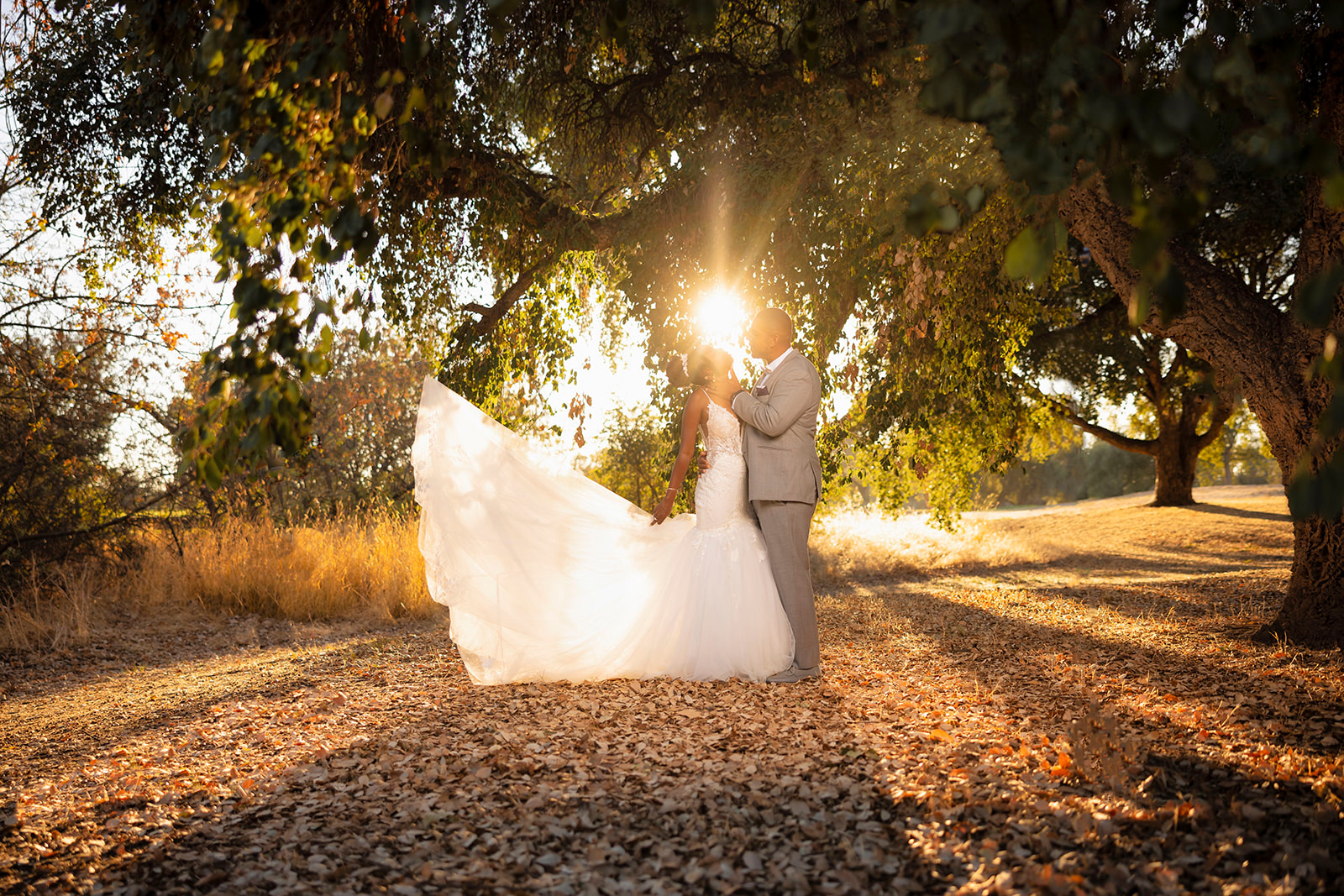 a couple kissing under the tree at their post wedding couples portrait session at the pavilion at haggin oaks
