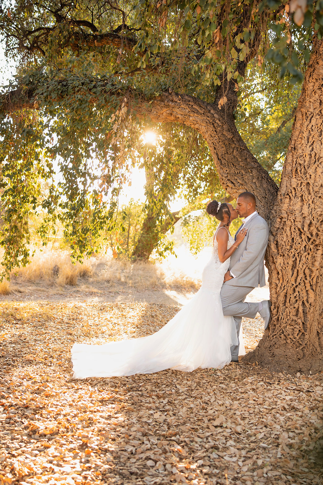 a couple kissing under the tree at their post wedding couples portrait session