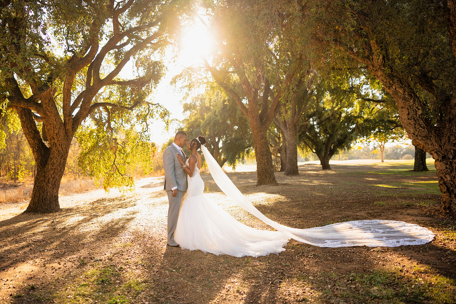 a couple who is posed for their post wedding couples portrait session at the pavilion at haggin oaks with sunlight