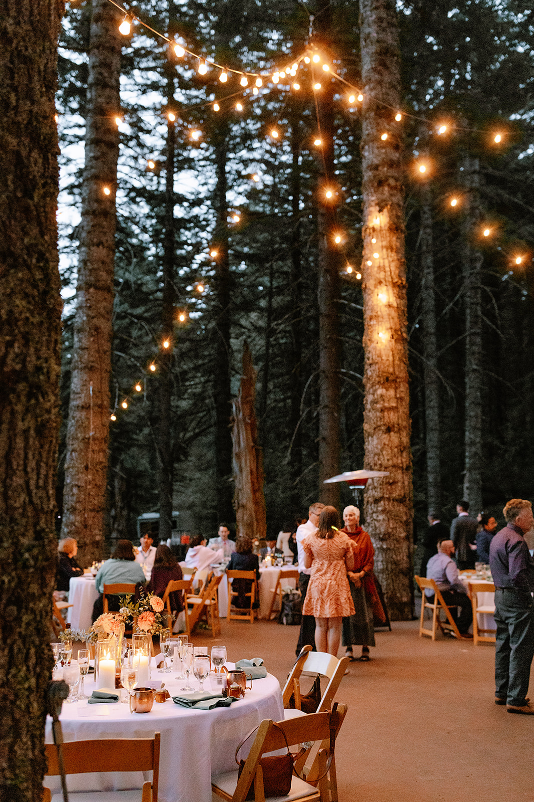 Noble Woods Tree Deck Wedding Reception
