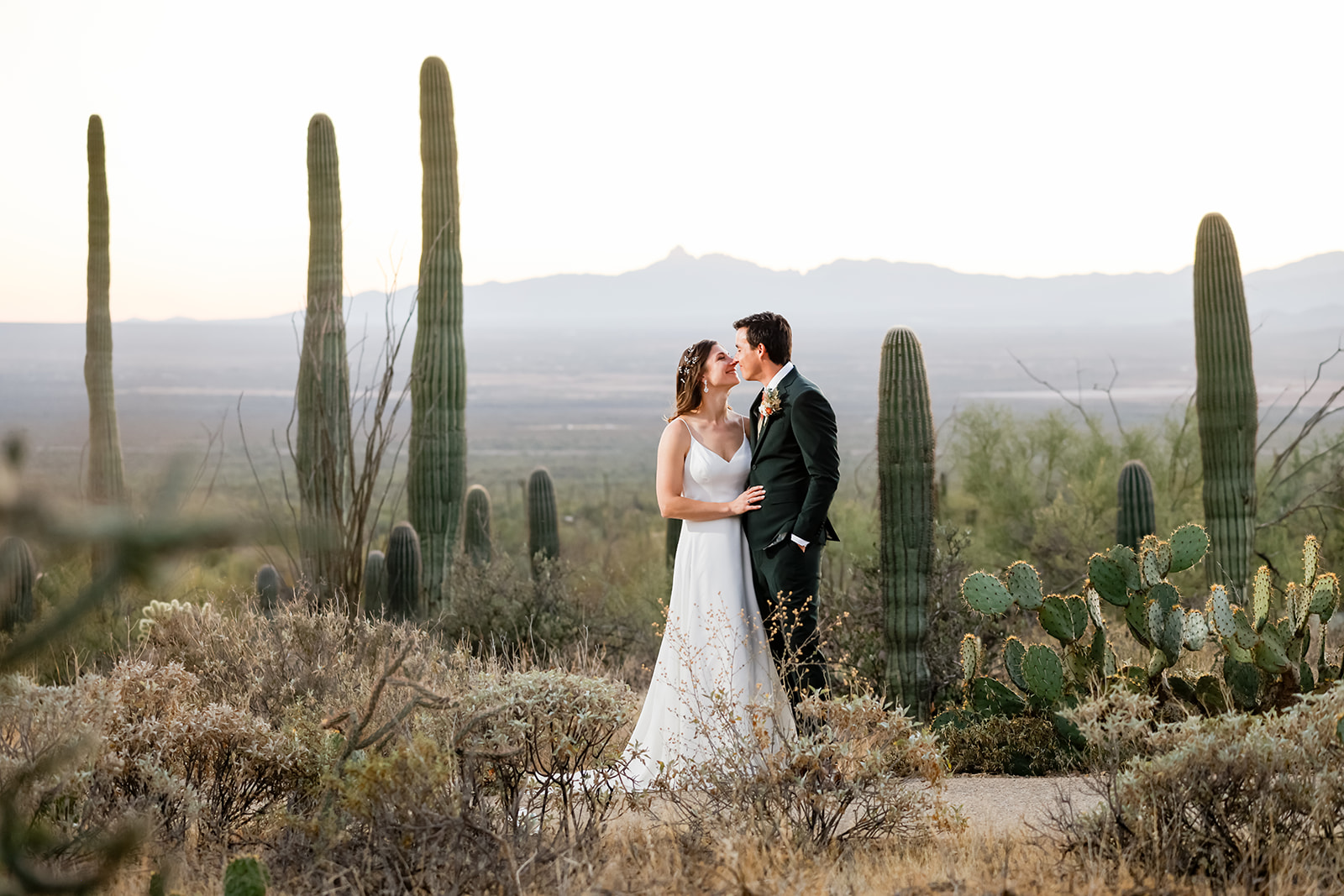 Arizona-Sonora Desert Museum Wedding bride and groom landscape portrait