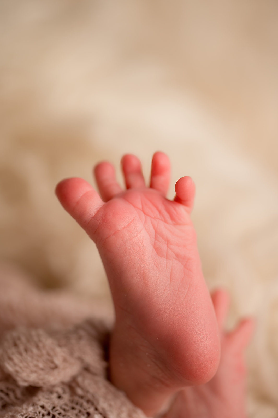 Macro detail of newborn baby's foot on a cream backdrop