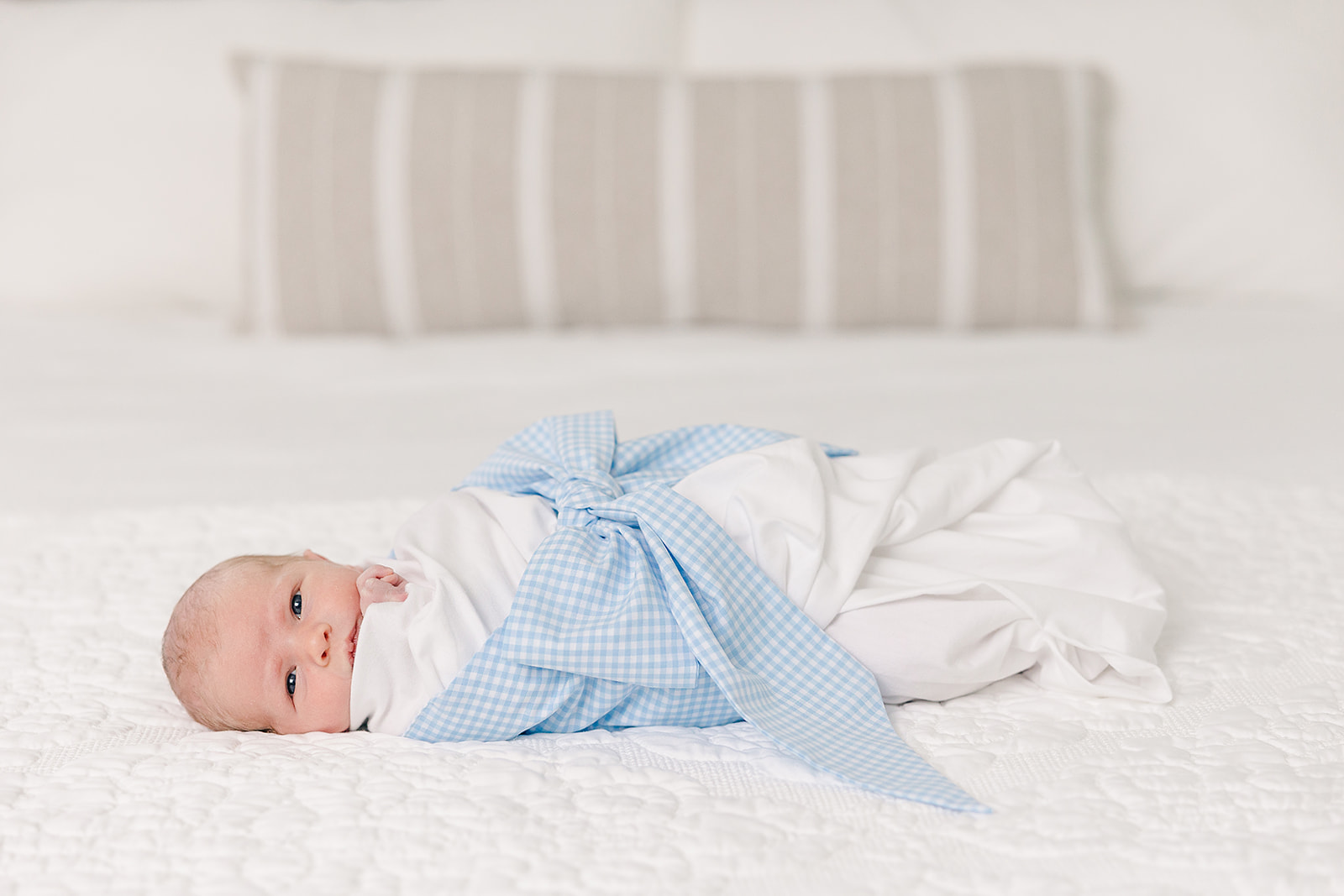 Blue and white newborn boy in bow swaddle