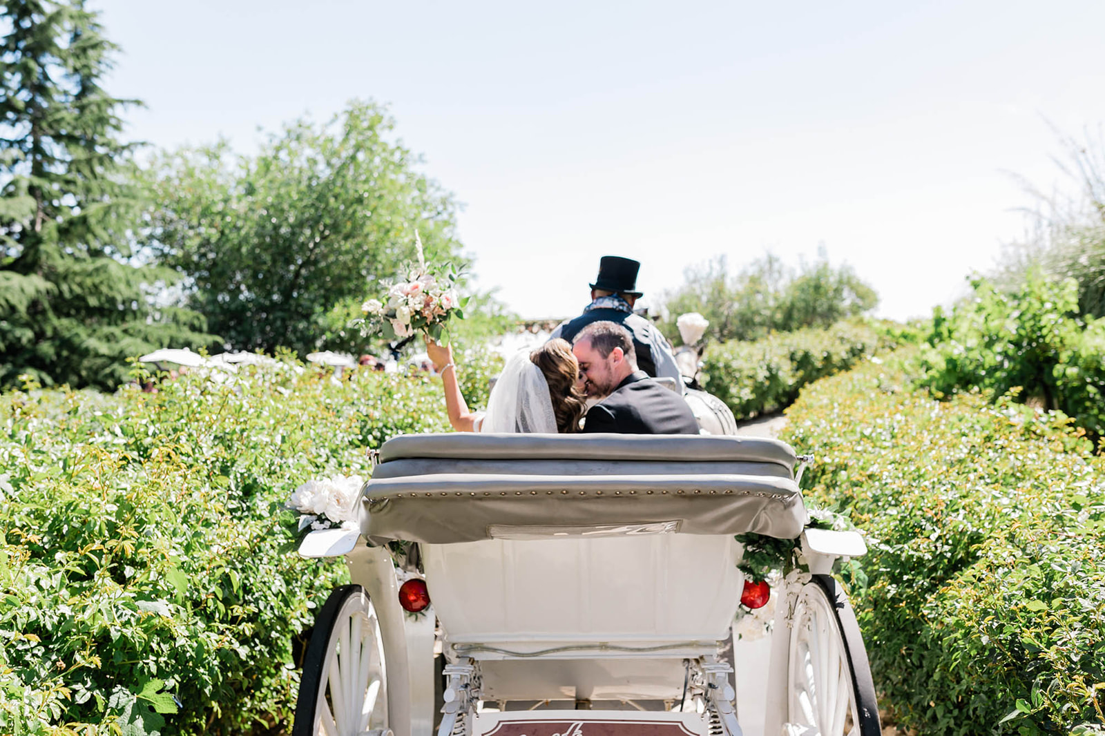 Serendipity garden wedding ceremony horse and carriage