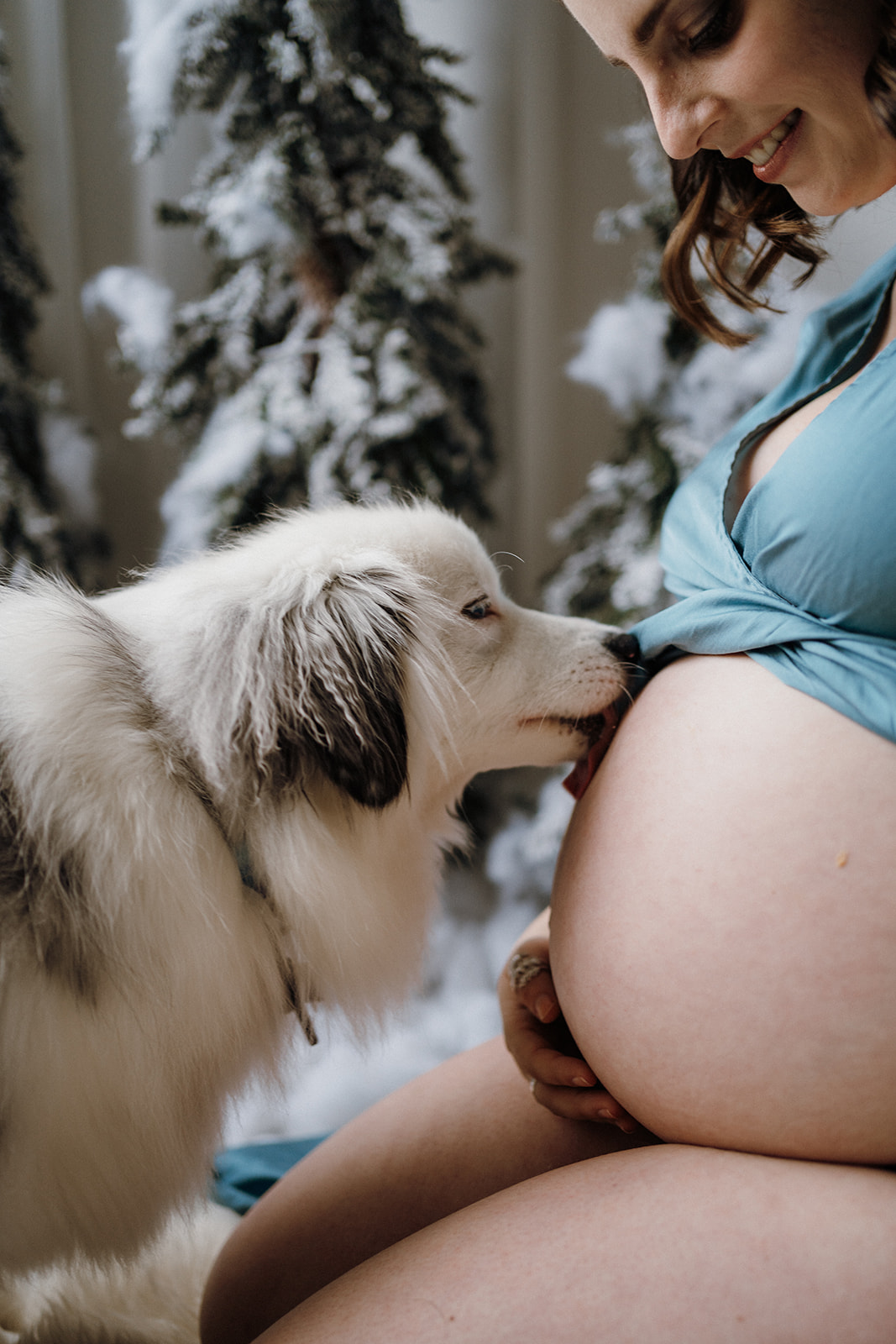 A dog licking a lady's stomach.