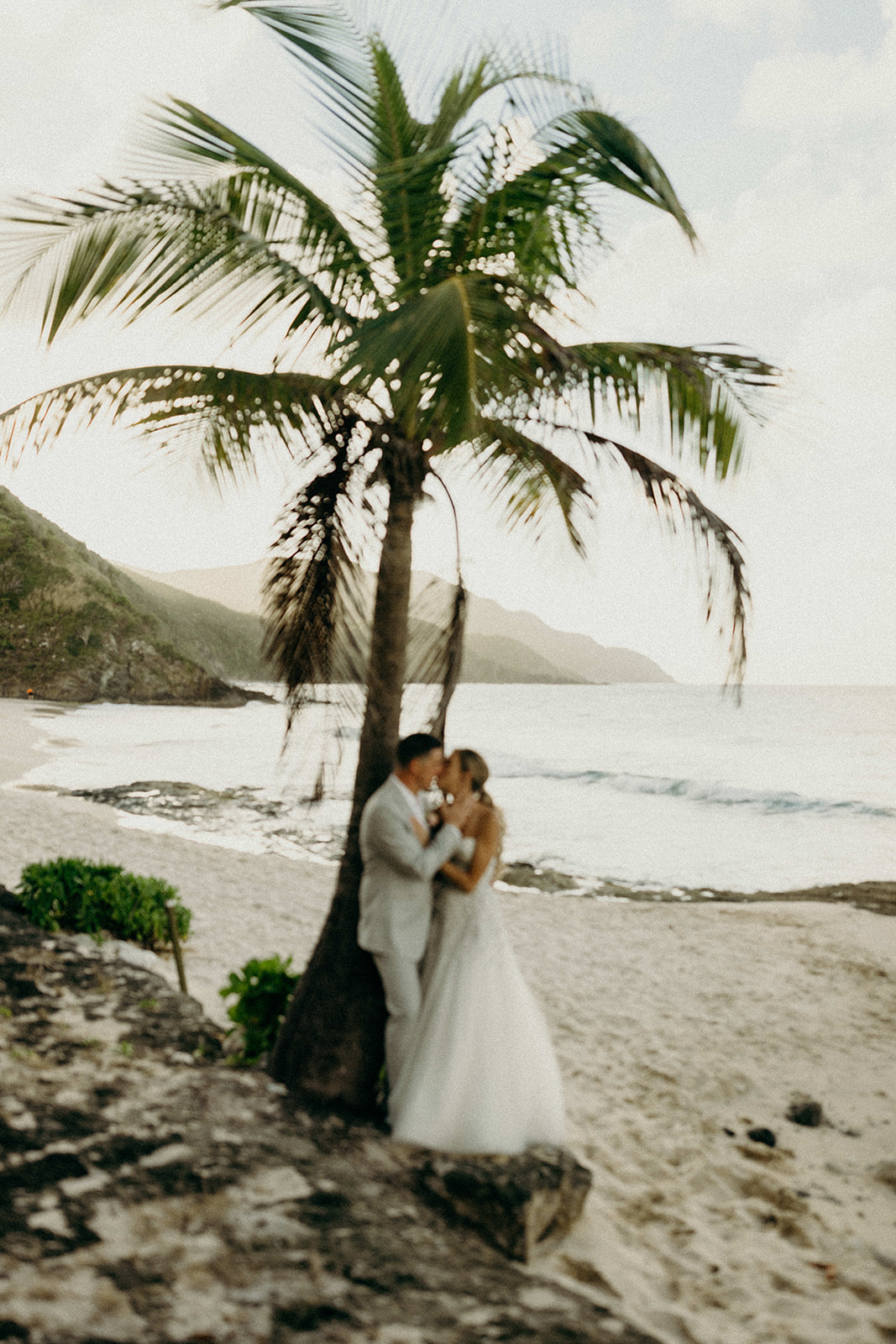 Bride and groom under palm trees at island elopement