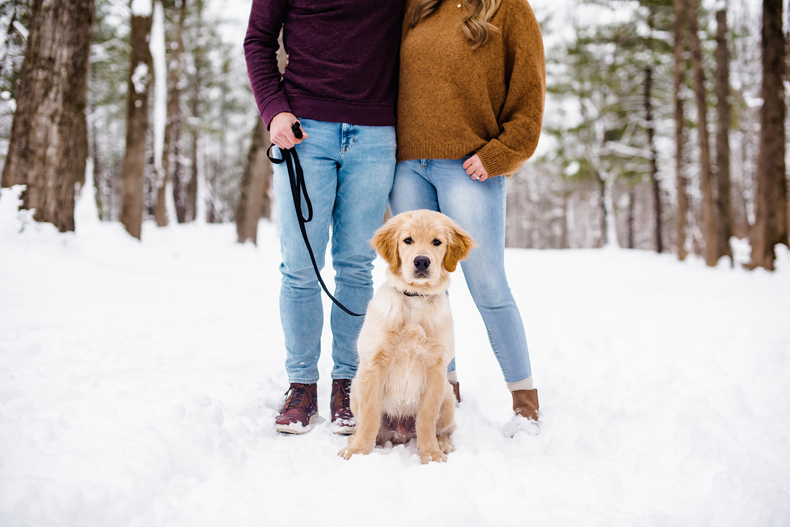 A couple with their new puppy in Maine. 
